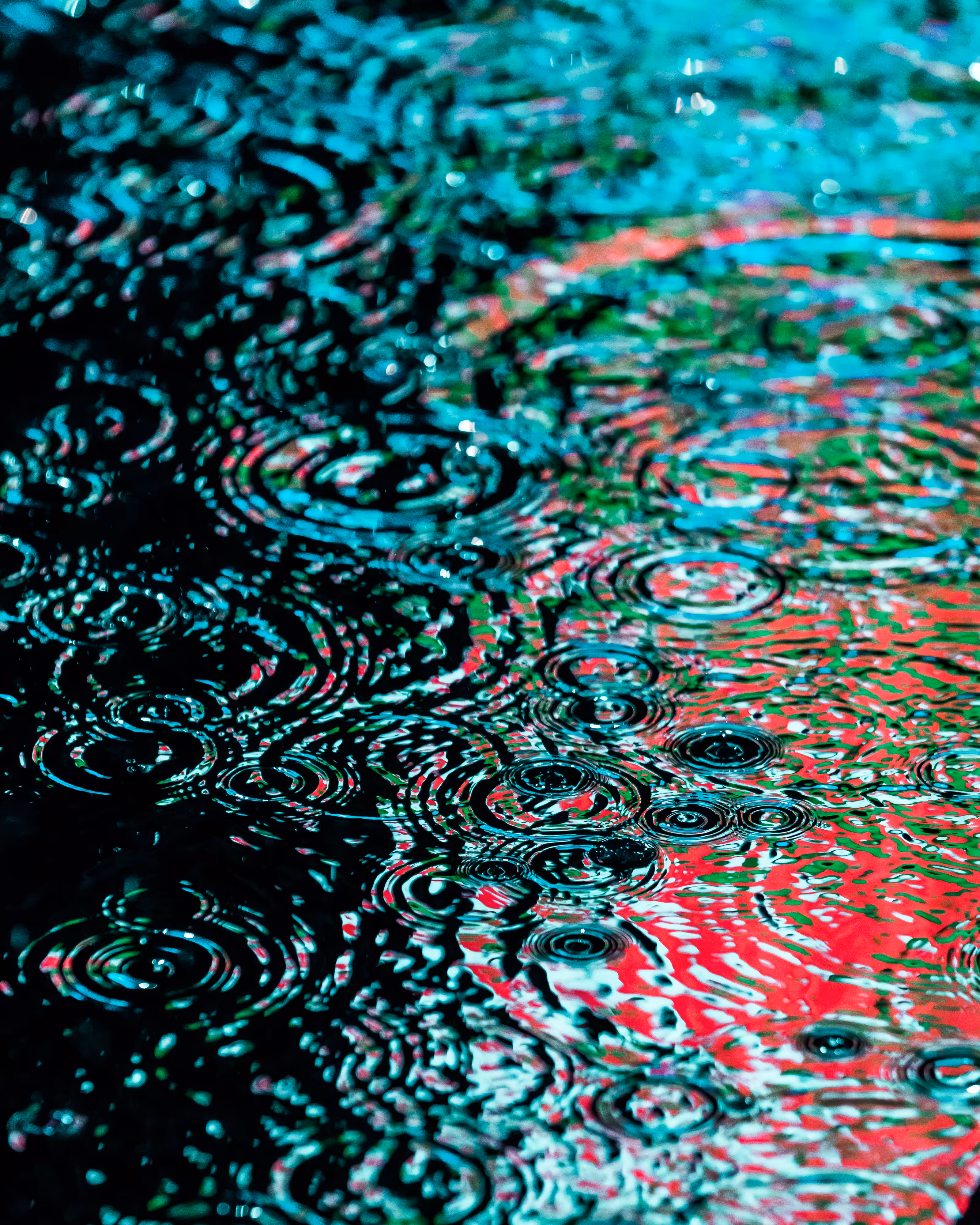 DRIP #445