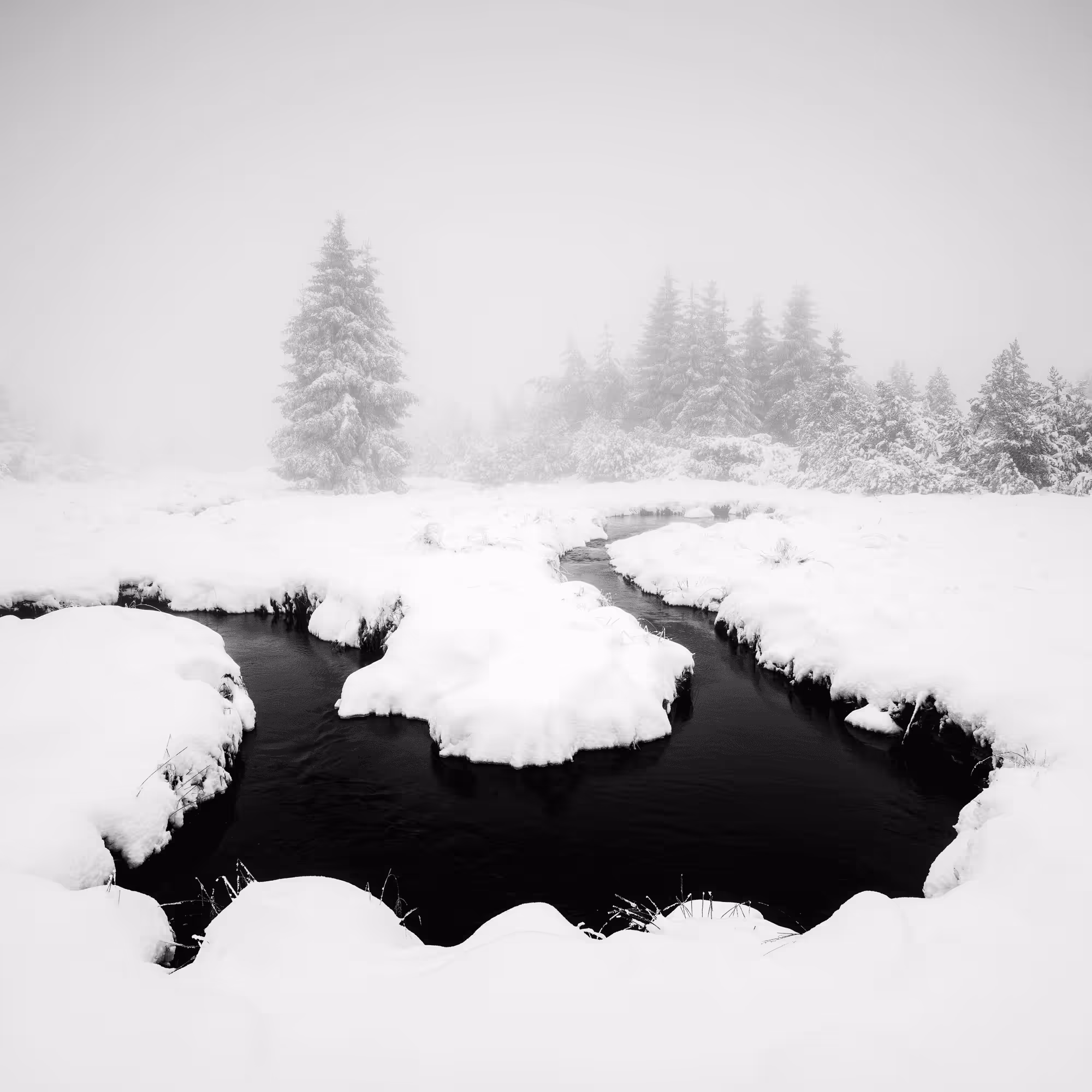 Sound of Silence #12