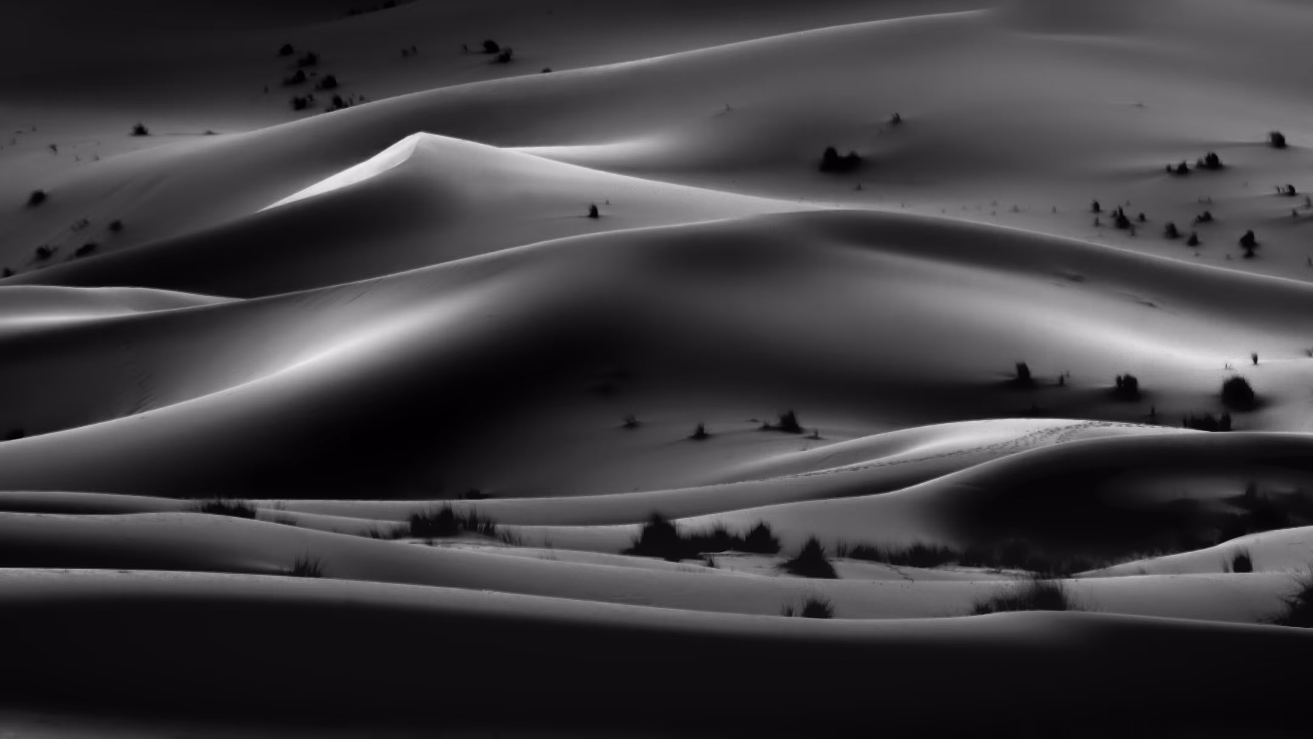 Mystery of Sahara 