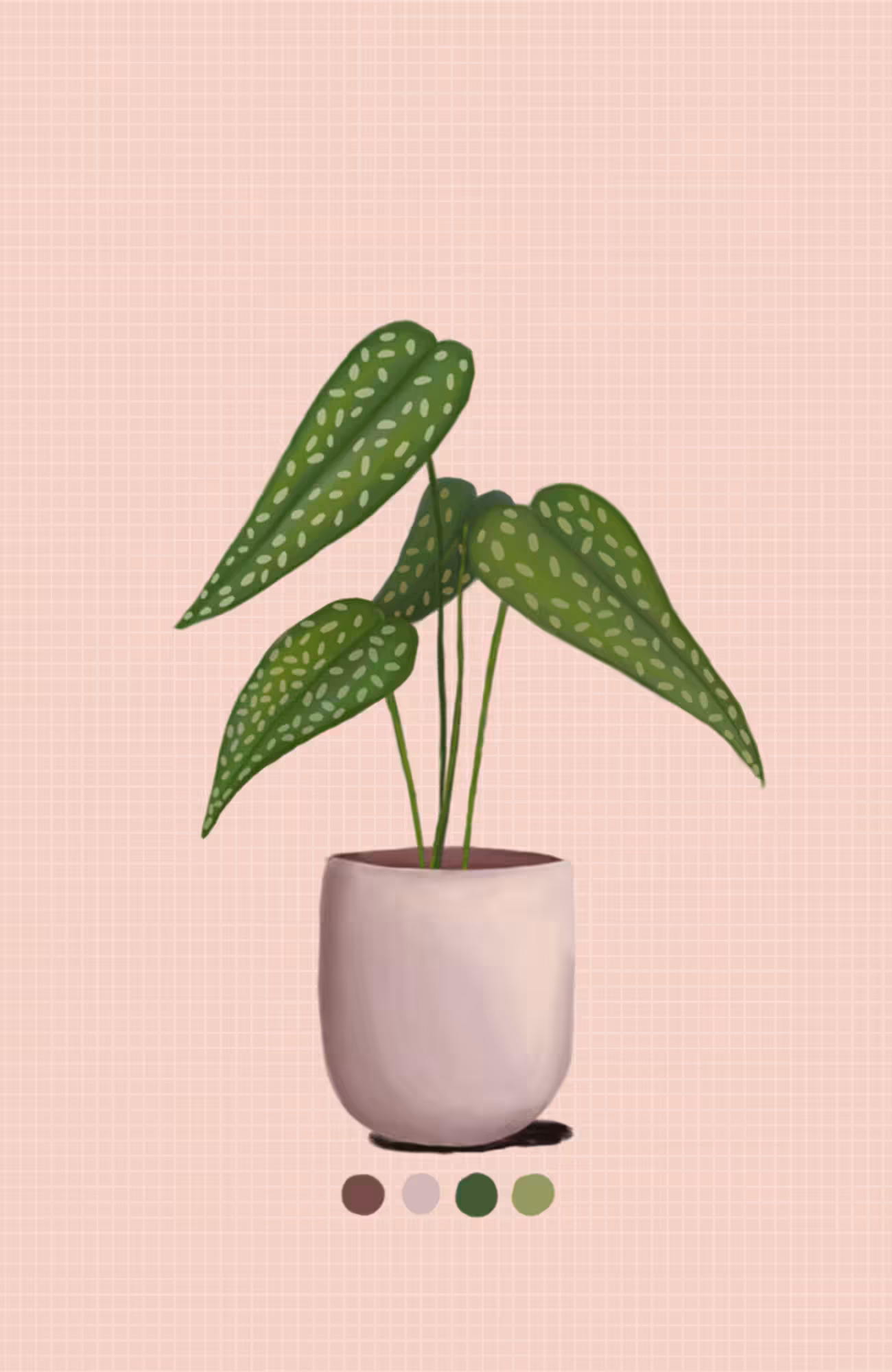 planta de casa