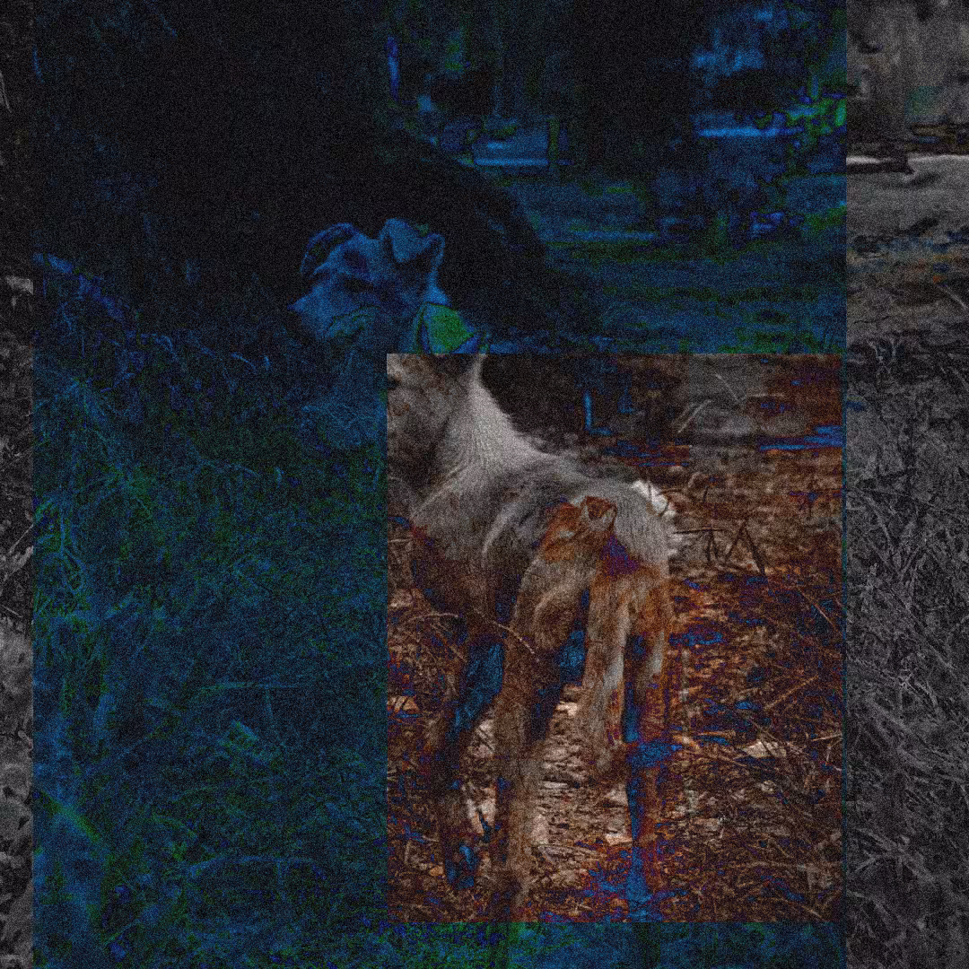1888 - Tint #4