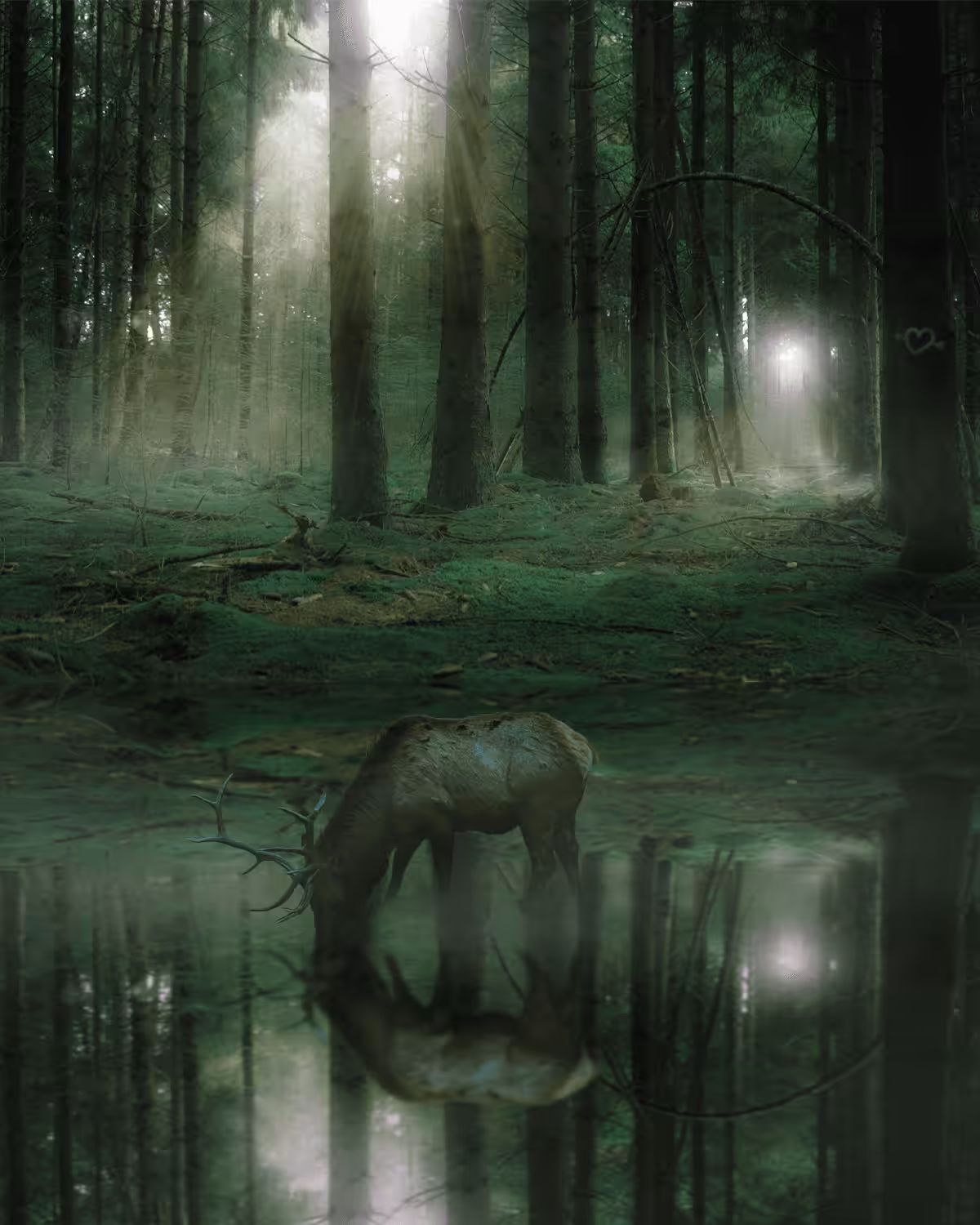 Into the Hollow