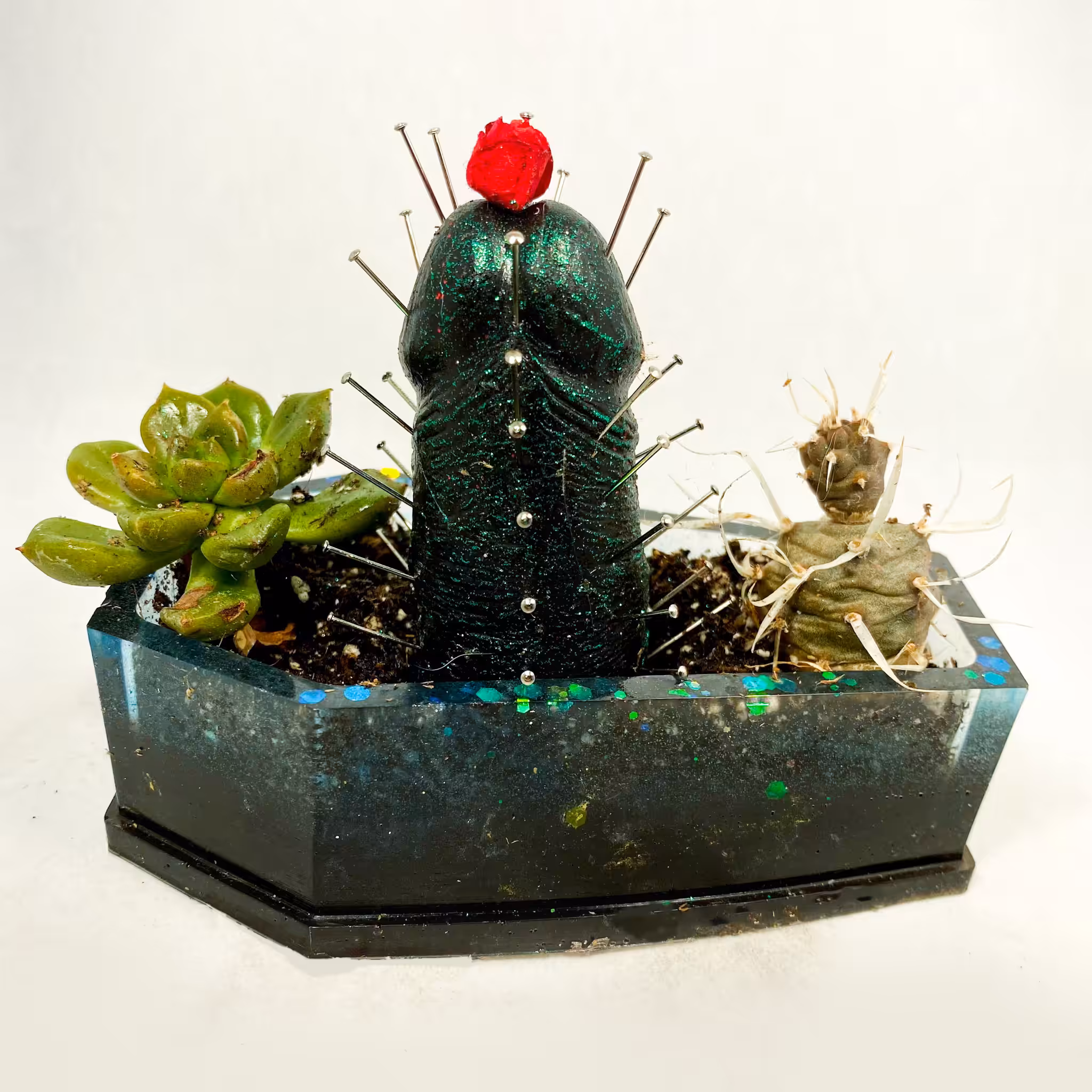 THE COCKTUS CAN BE SUCH A PRICK