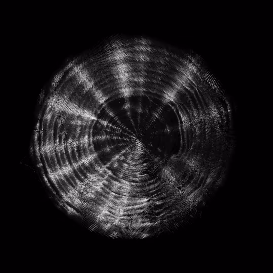 hide - in a shell : GE3
