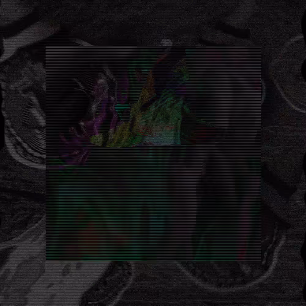 Loop [1]