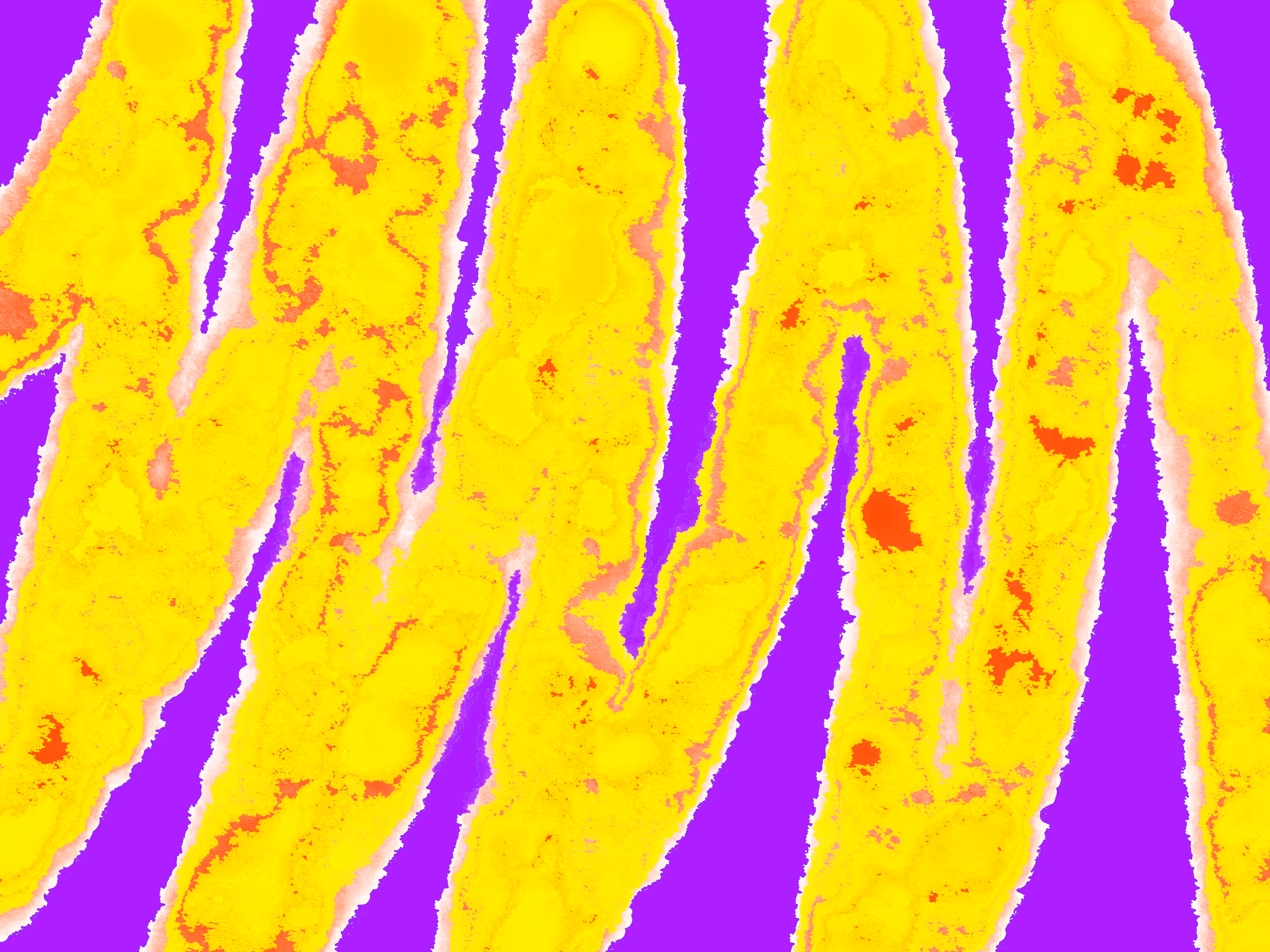 Yellow line