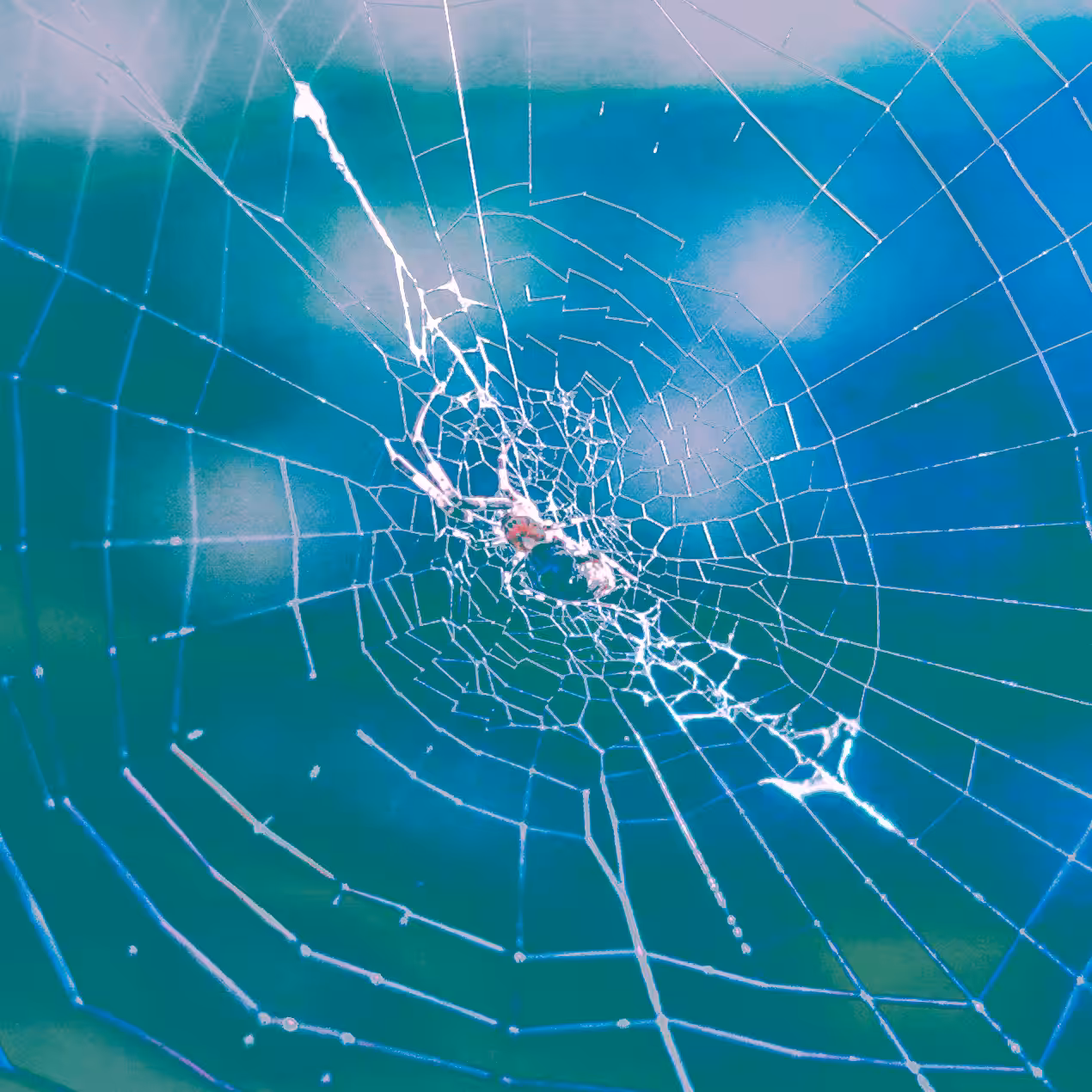 The Cracked Glass