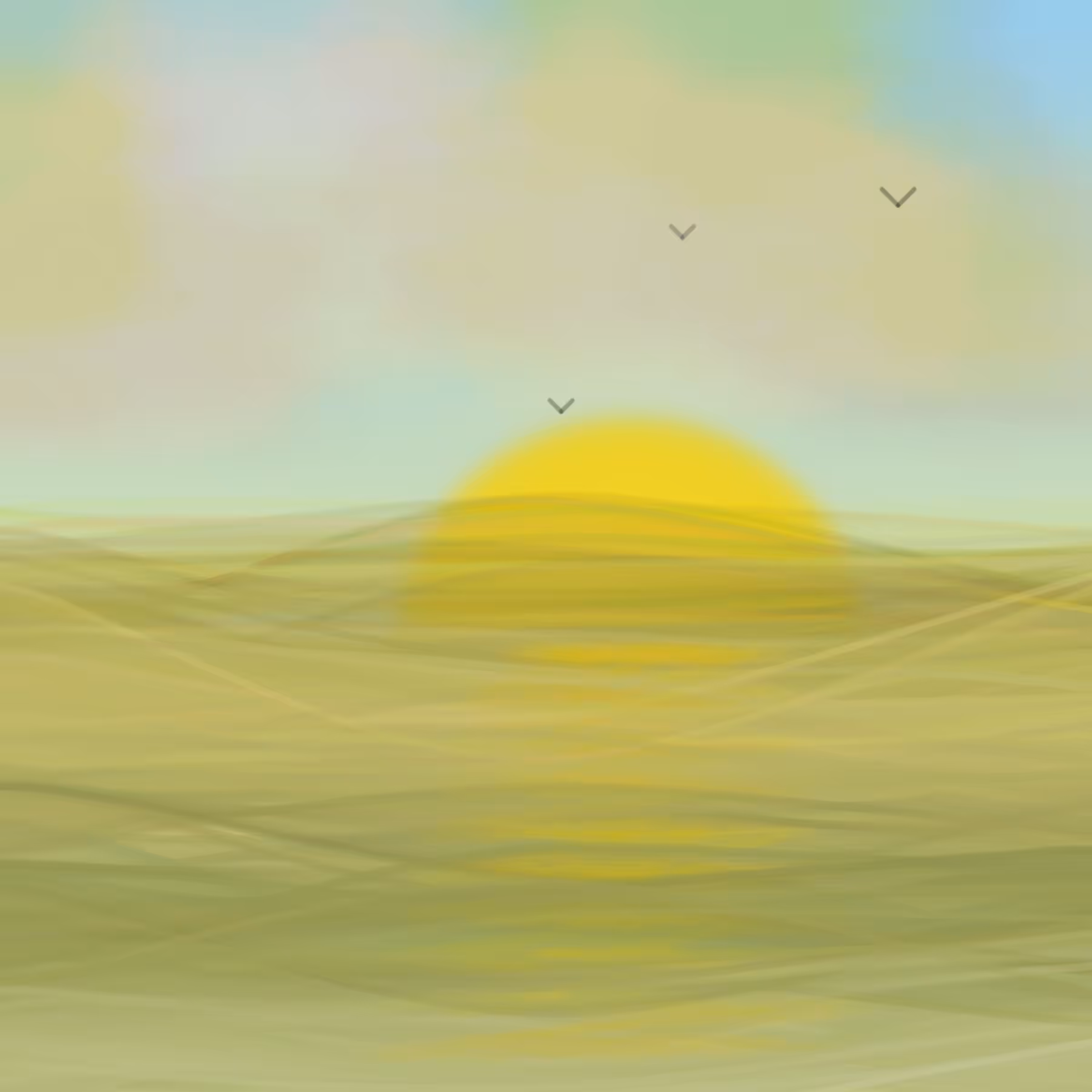 Interactive seaview #62