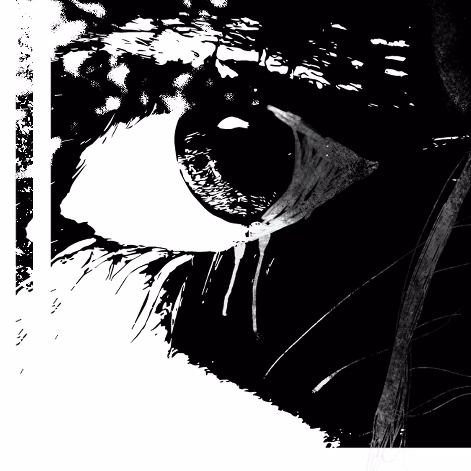 BW SIGHT [6/28] S2