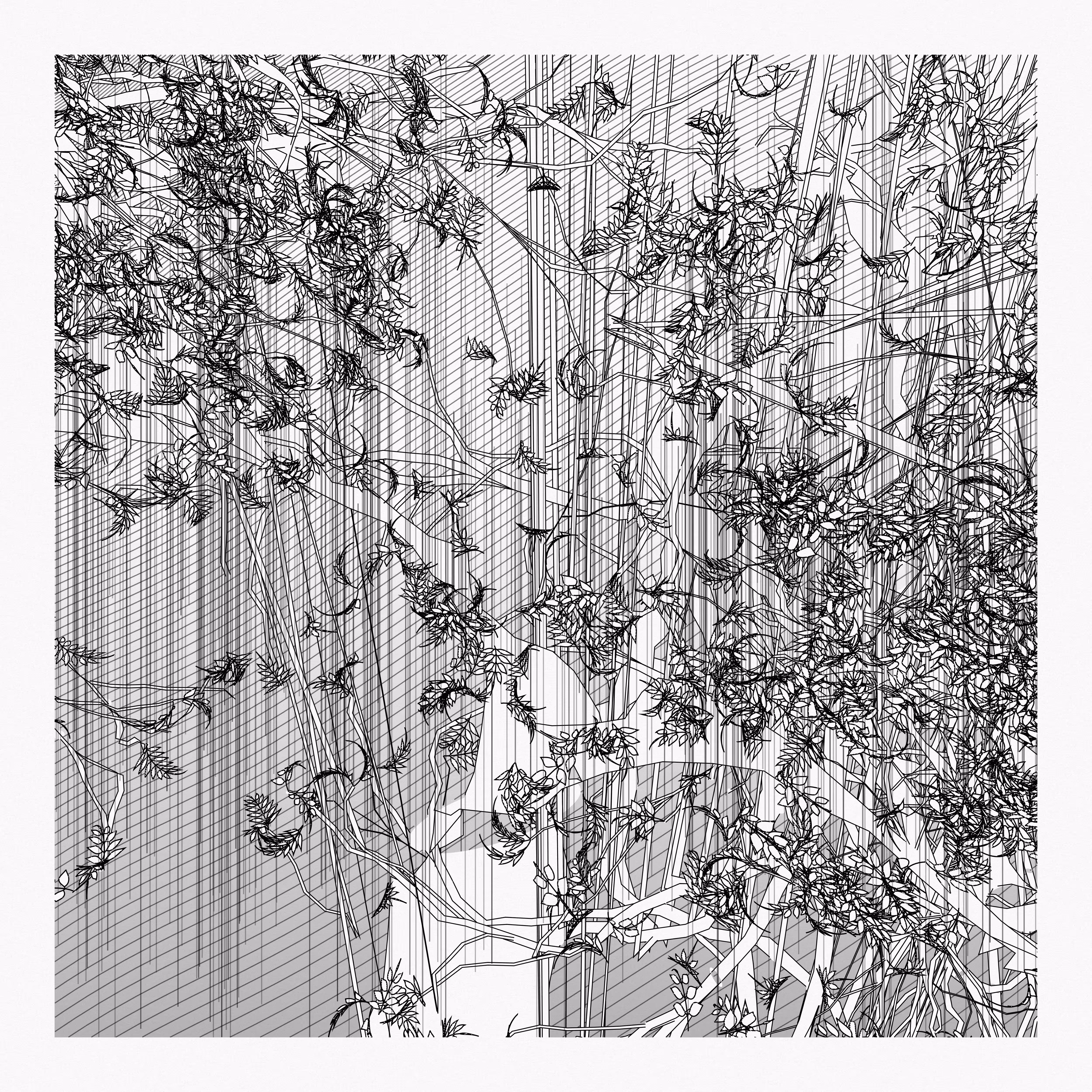 A Bugged Forest #367