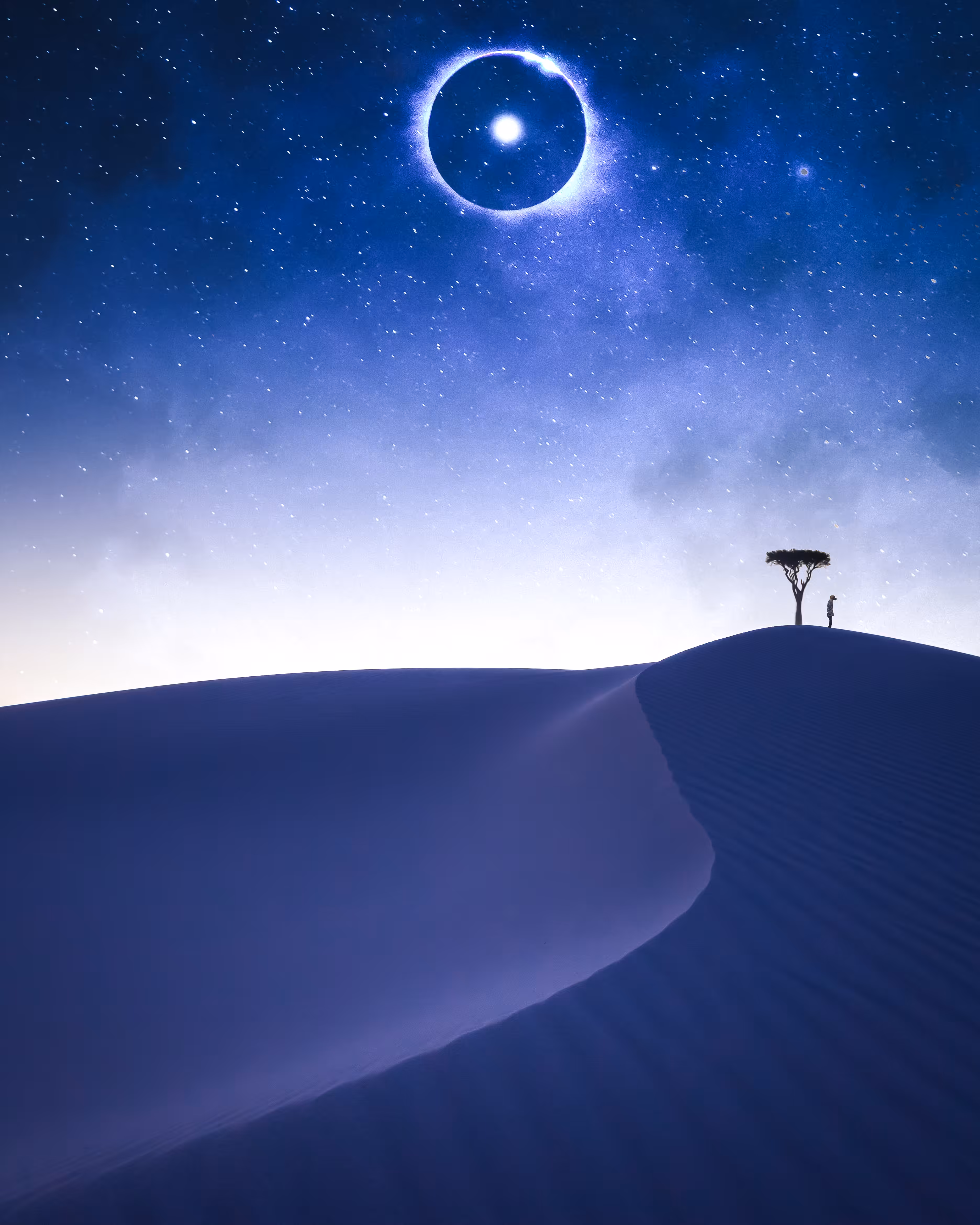 The Dreamer ☹ 