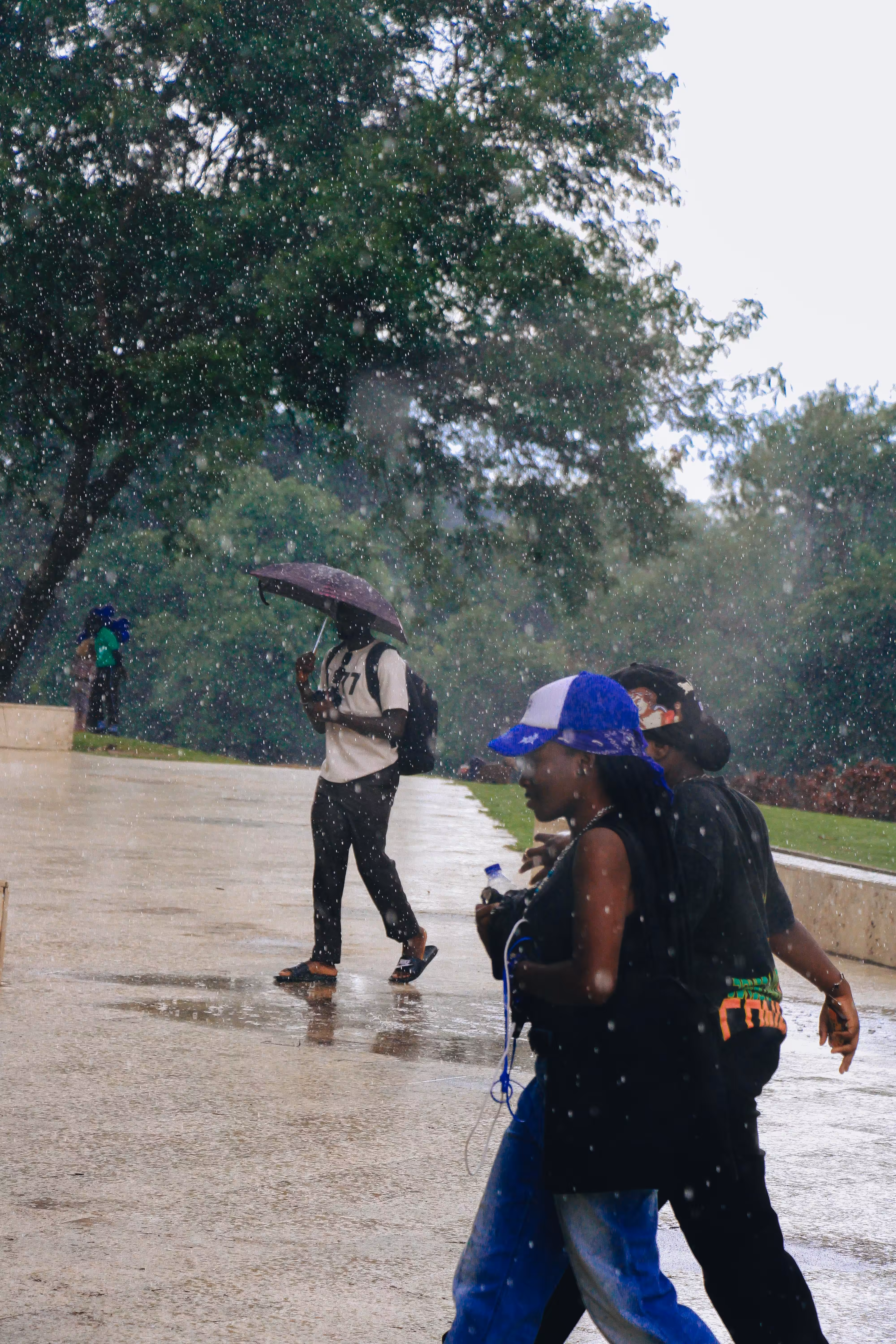 August Rain: a memoir