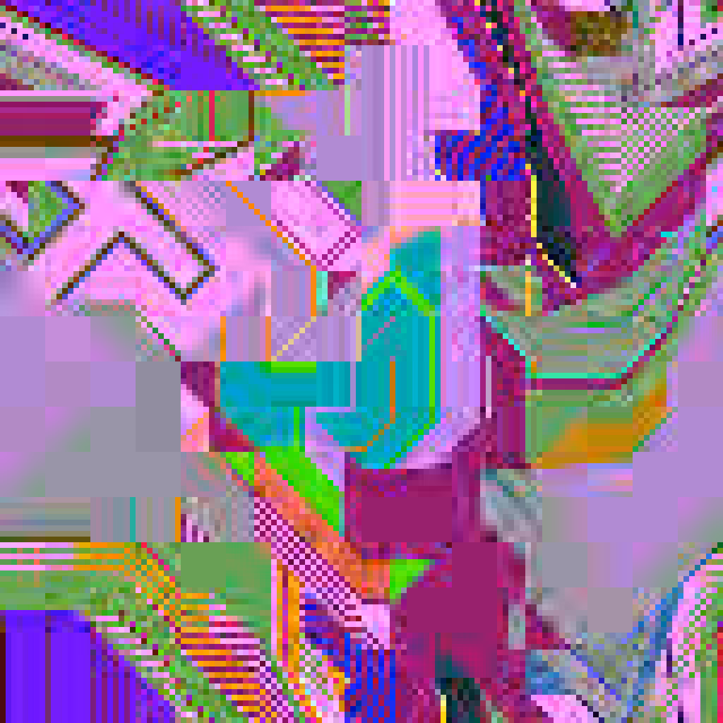FORMAT #13