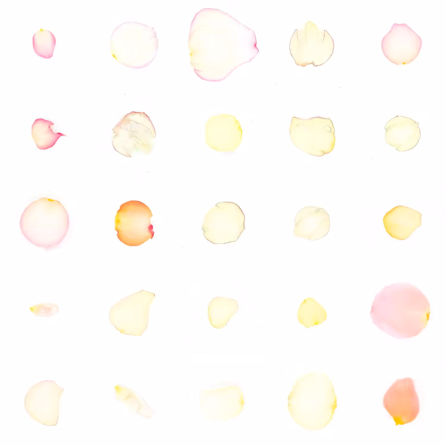 Infinite Petals 5x5#21074