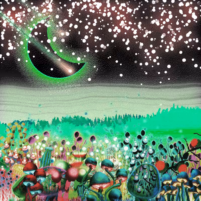 Onablo's Meadow #85