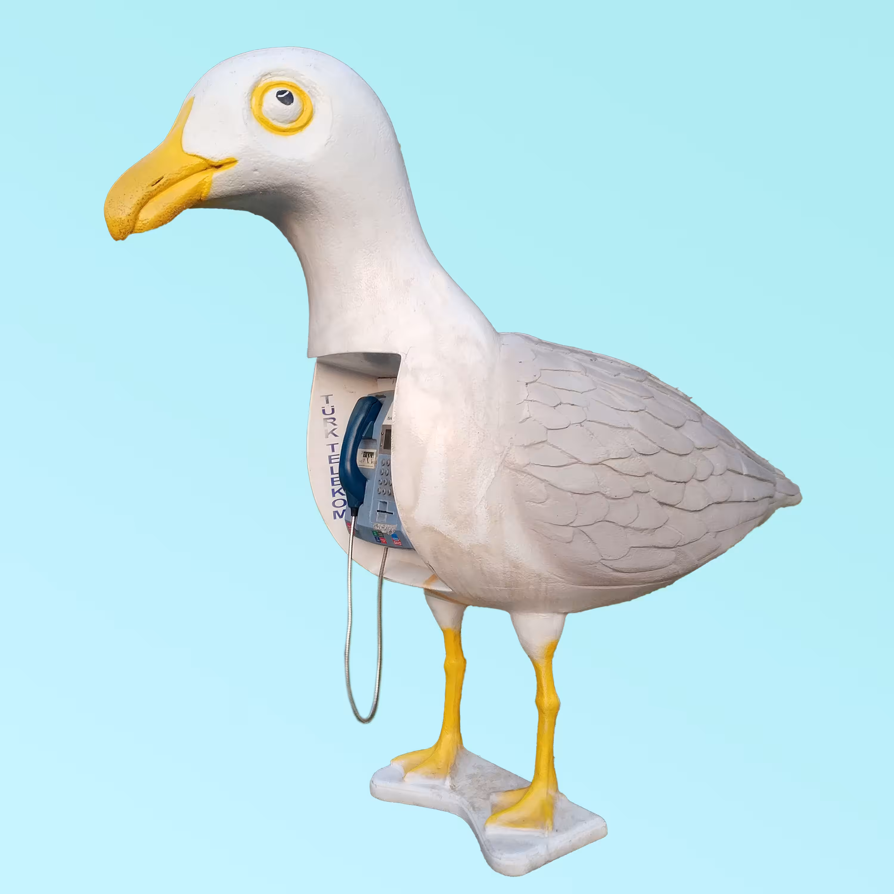 Gull phone
