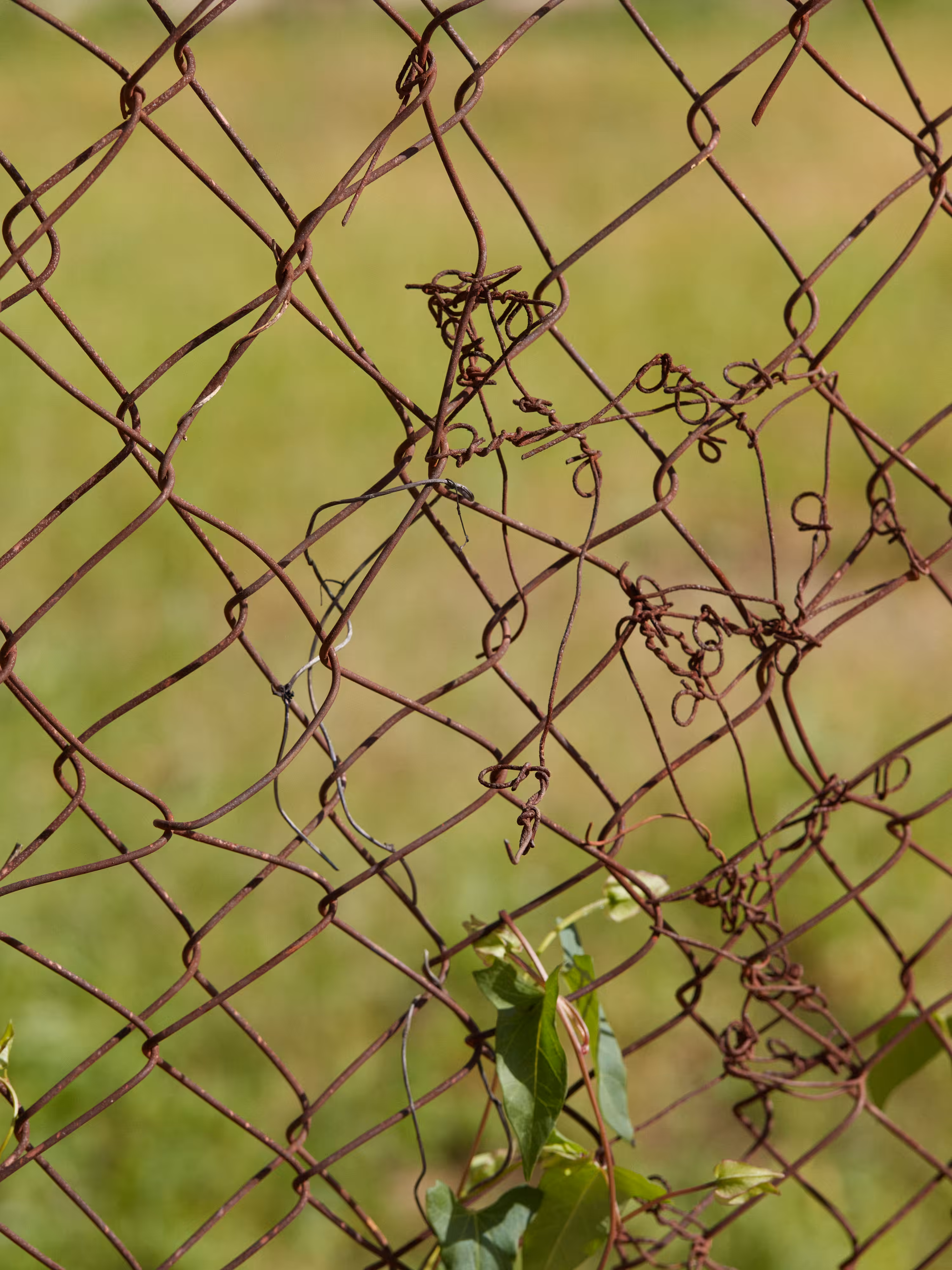 CHAINLINK