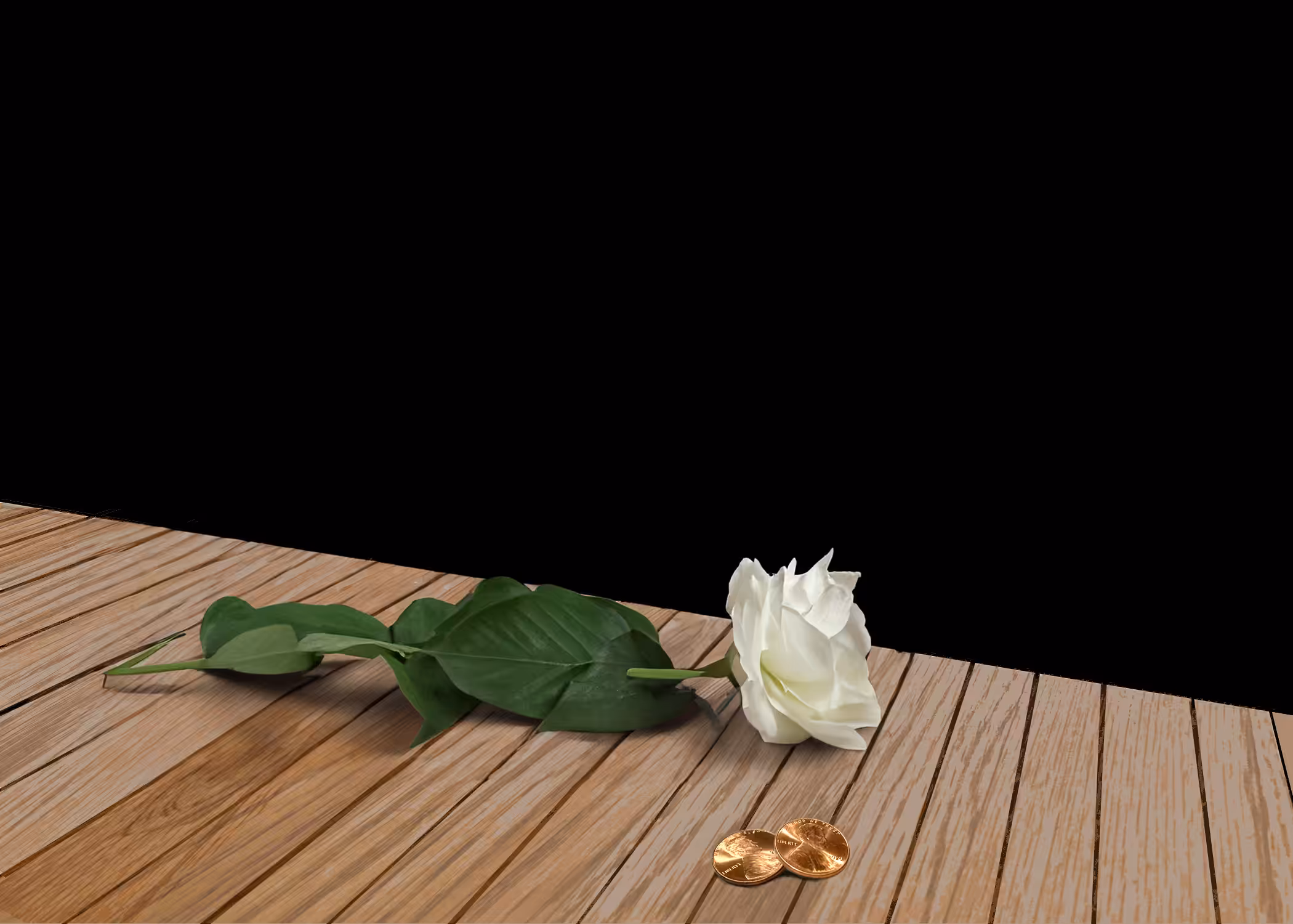 MY 2 CENTS+ONE FLOWER of ADULATION