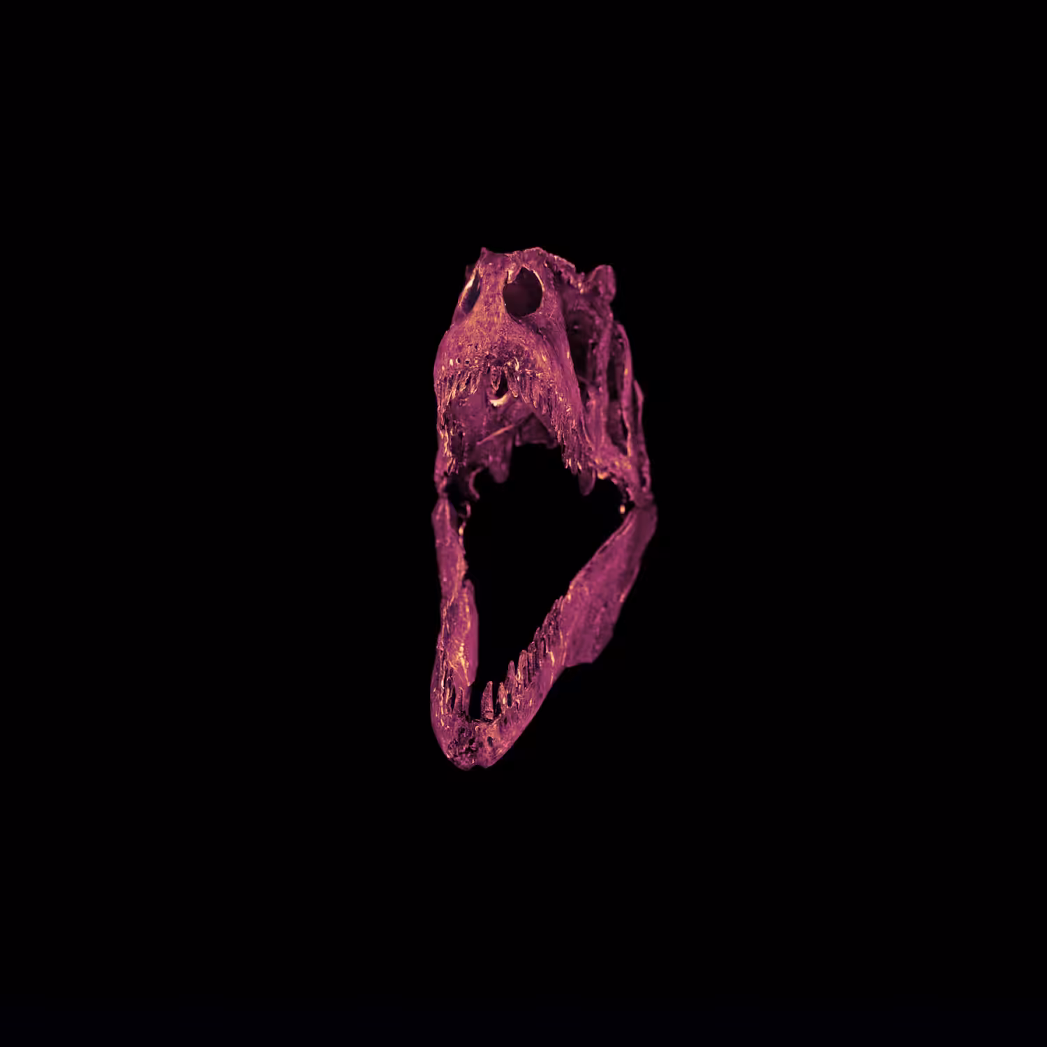 MAGMA
