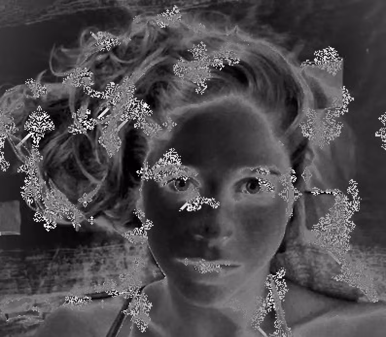 Broken Beauty