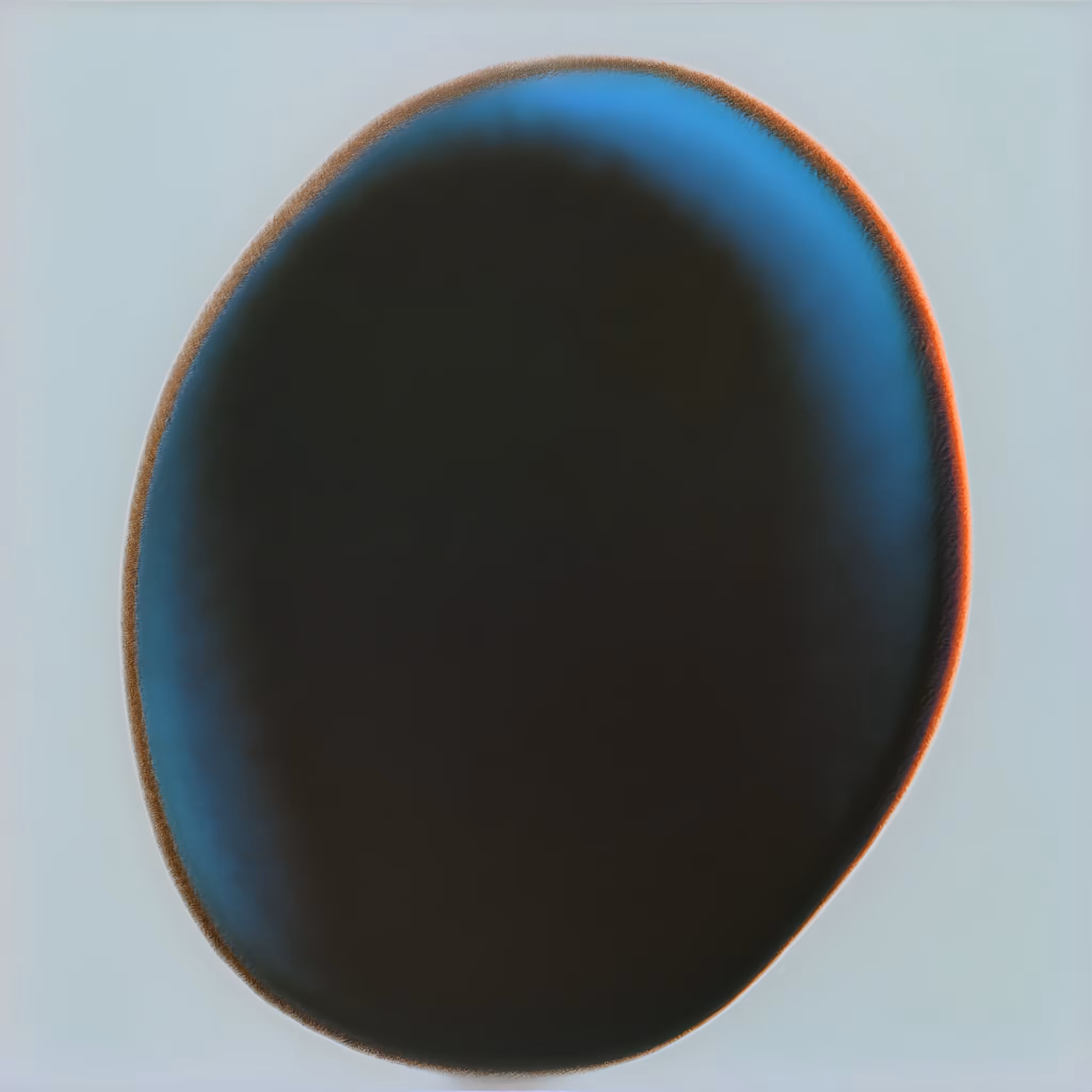SP029