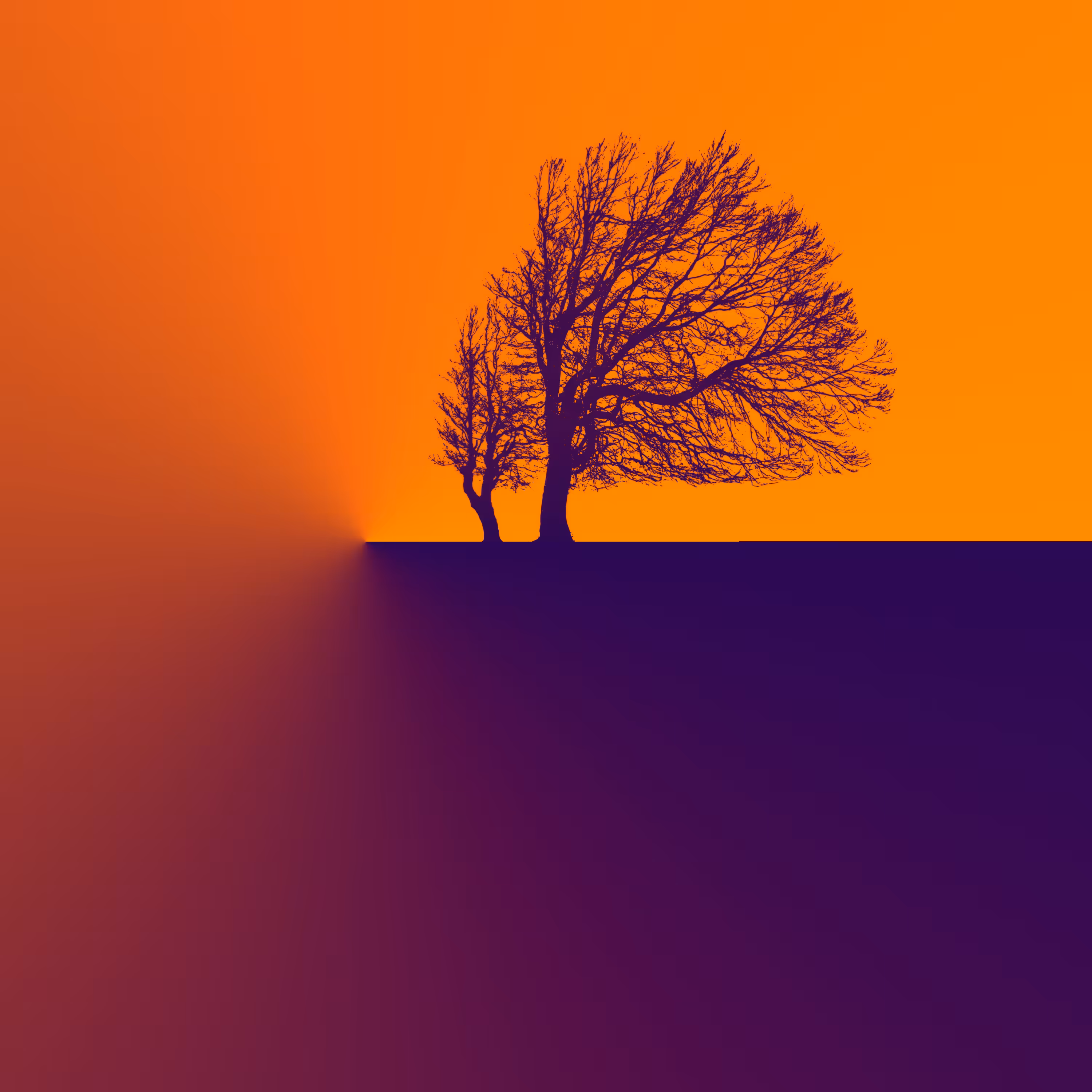 Arboreal  in the Mist