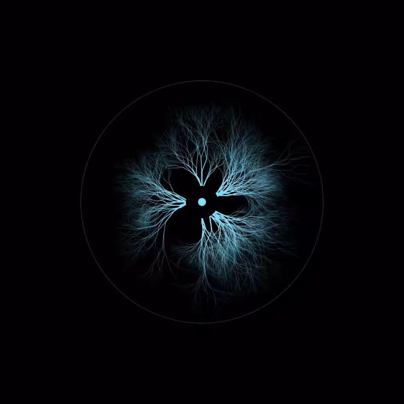 EYE #65