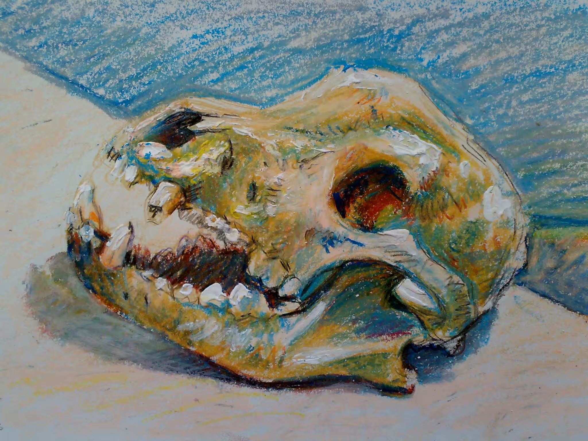Dog Skull