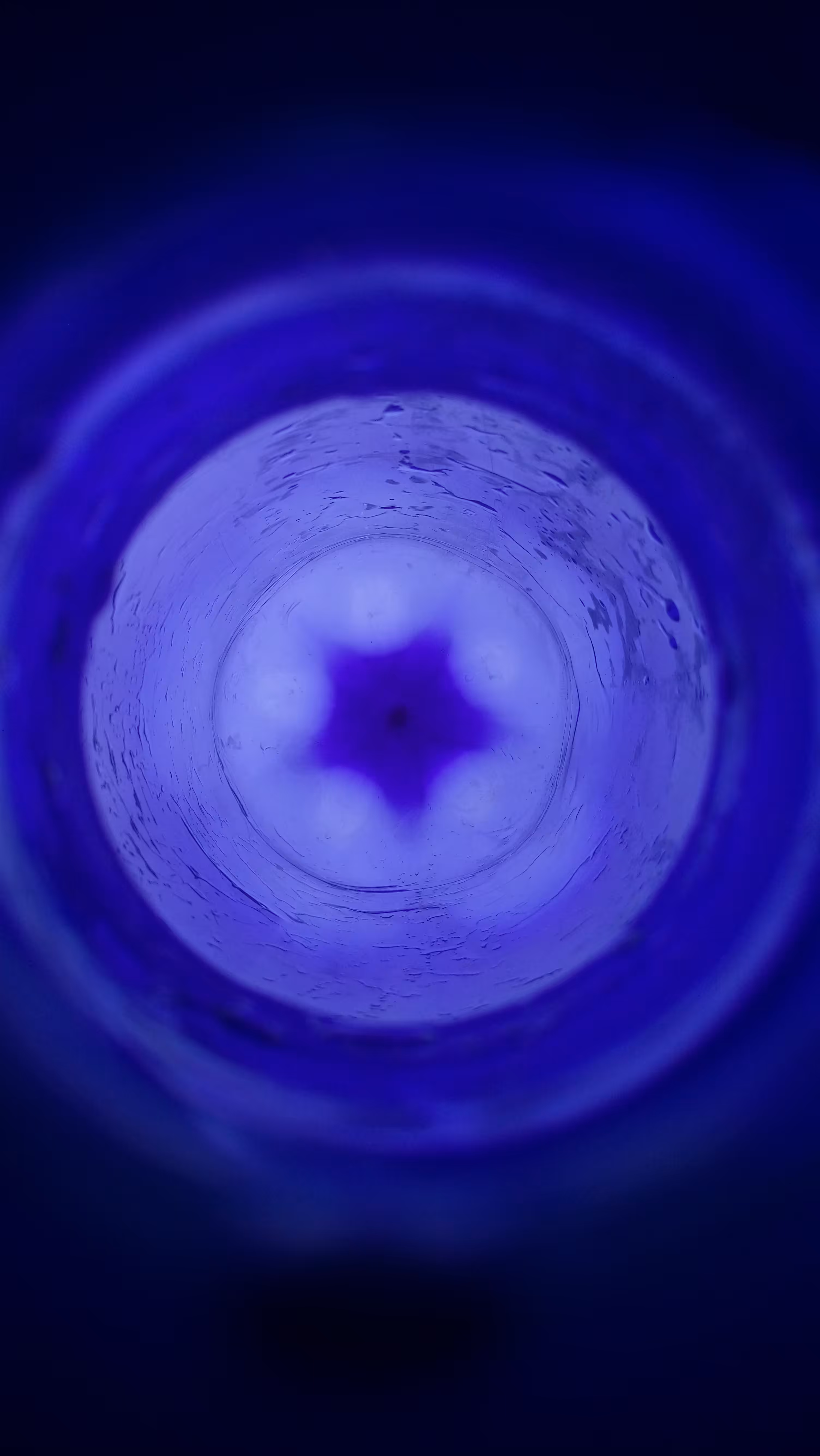 Bautemus Star
