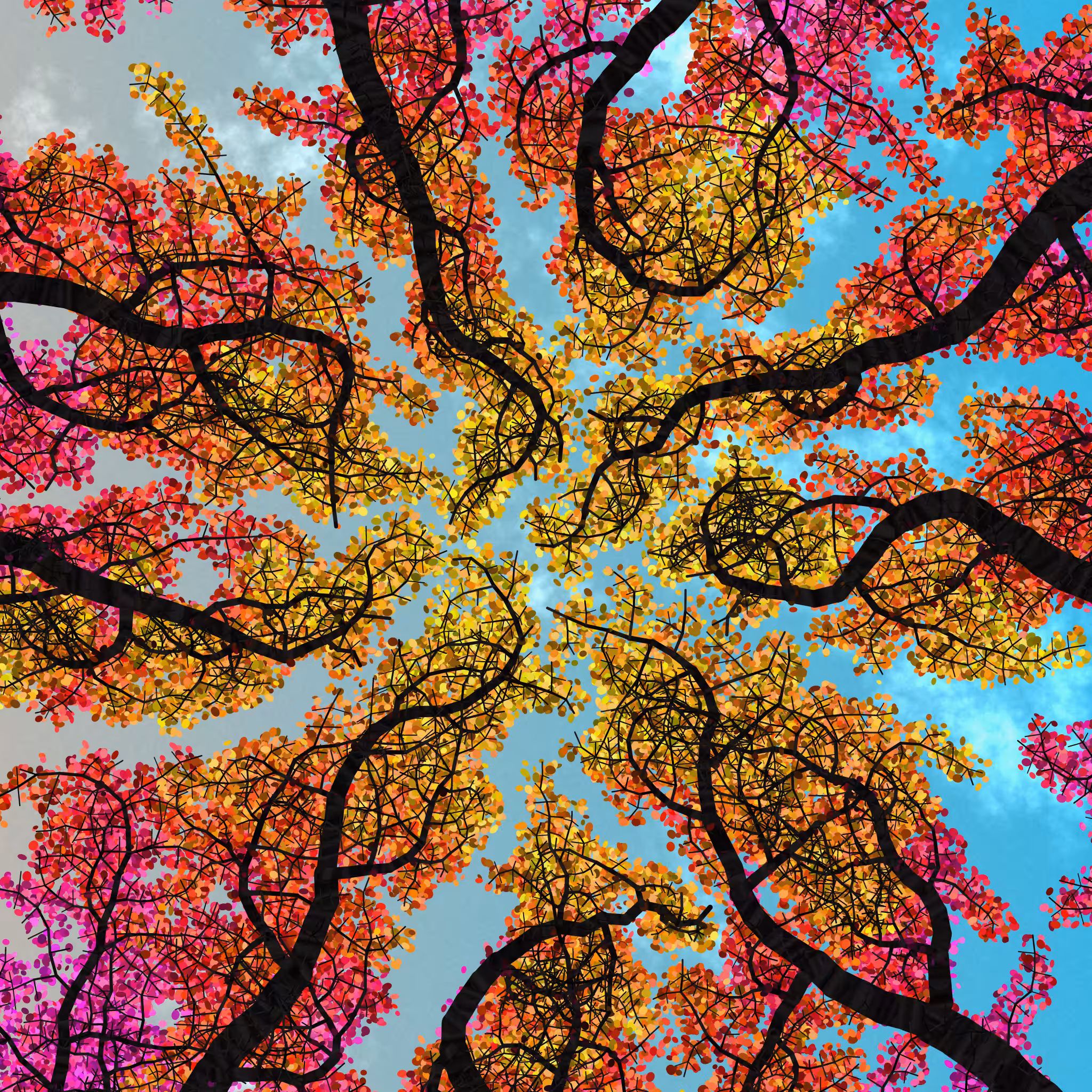Tree Skyness #52