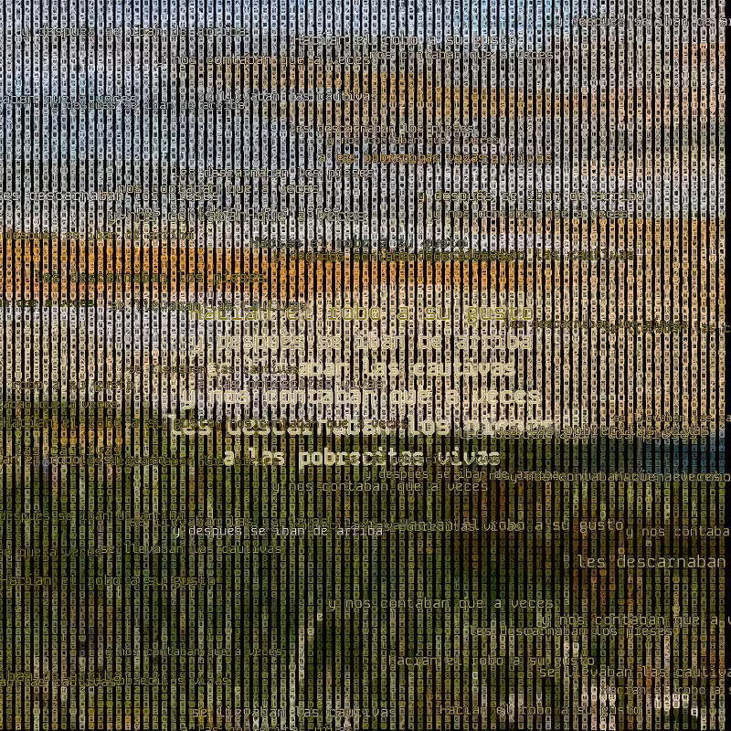 A hacker in the Pampas #203