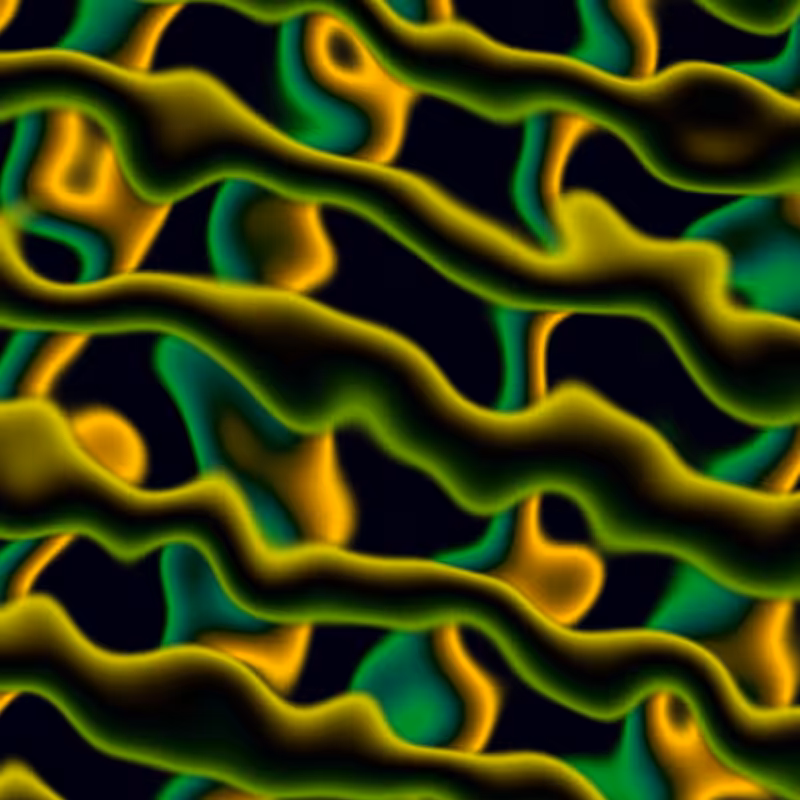 Electric Worms #29