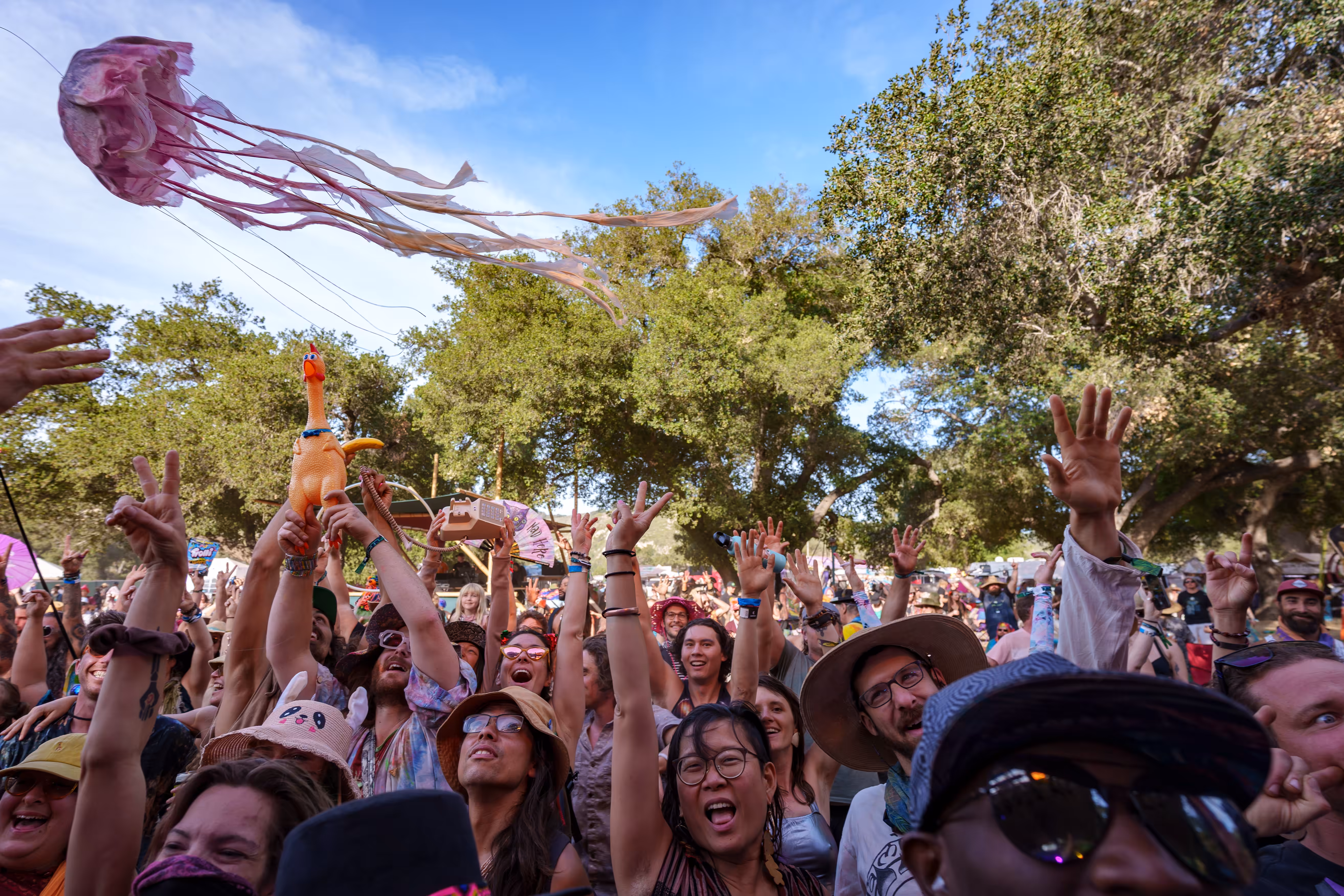 Lucidity Music Festival 2022 - The Crowd