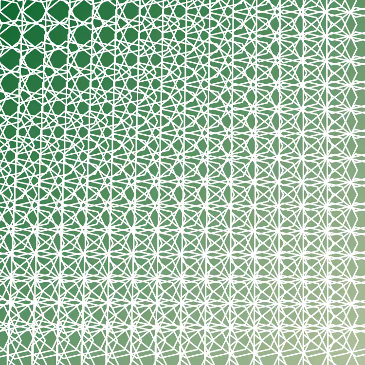bilinearInterpolationTwist #37
