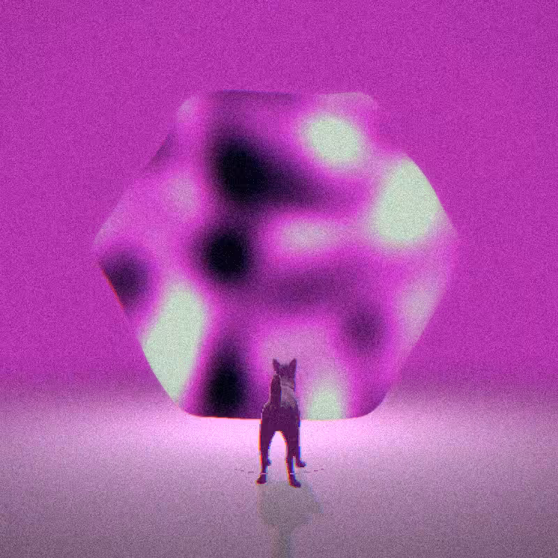 PORTALS #65