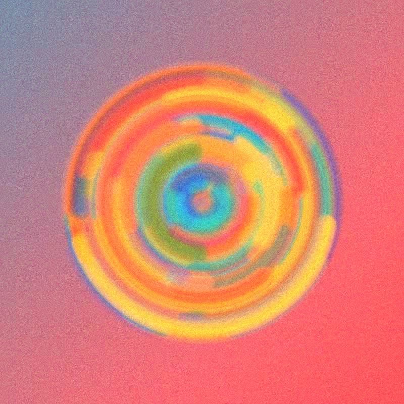 Wisp #701