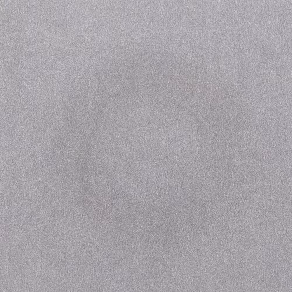 Ensō Water Painting #47