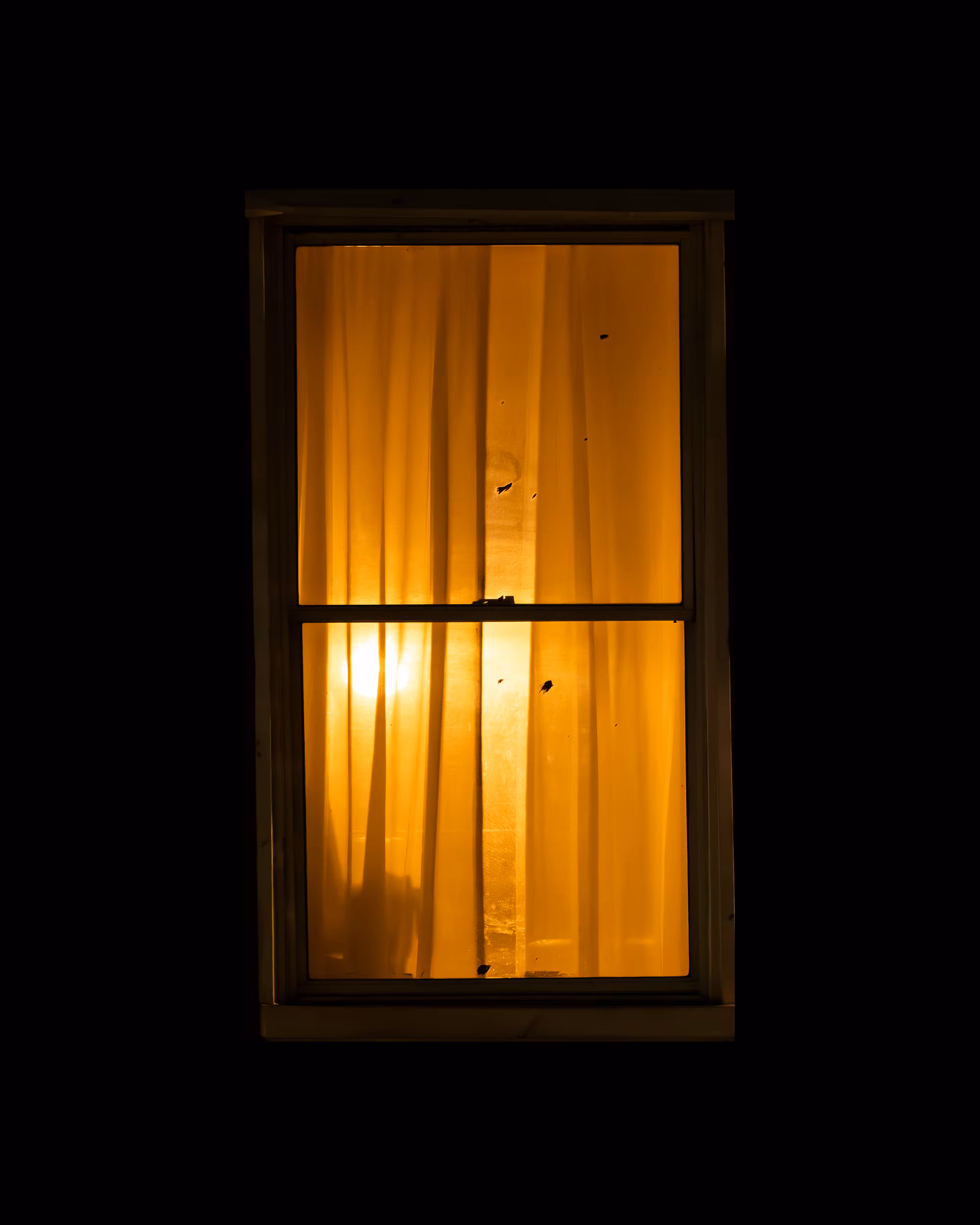 WINDOWS // NYC: WINDOW 774