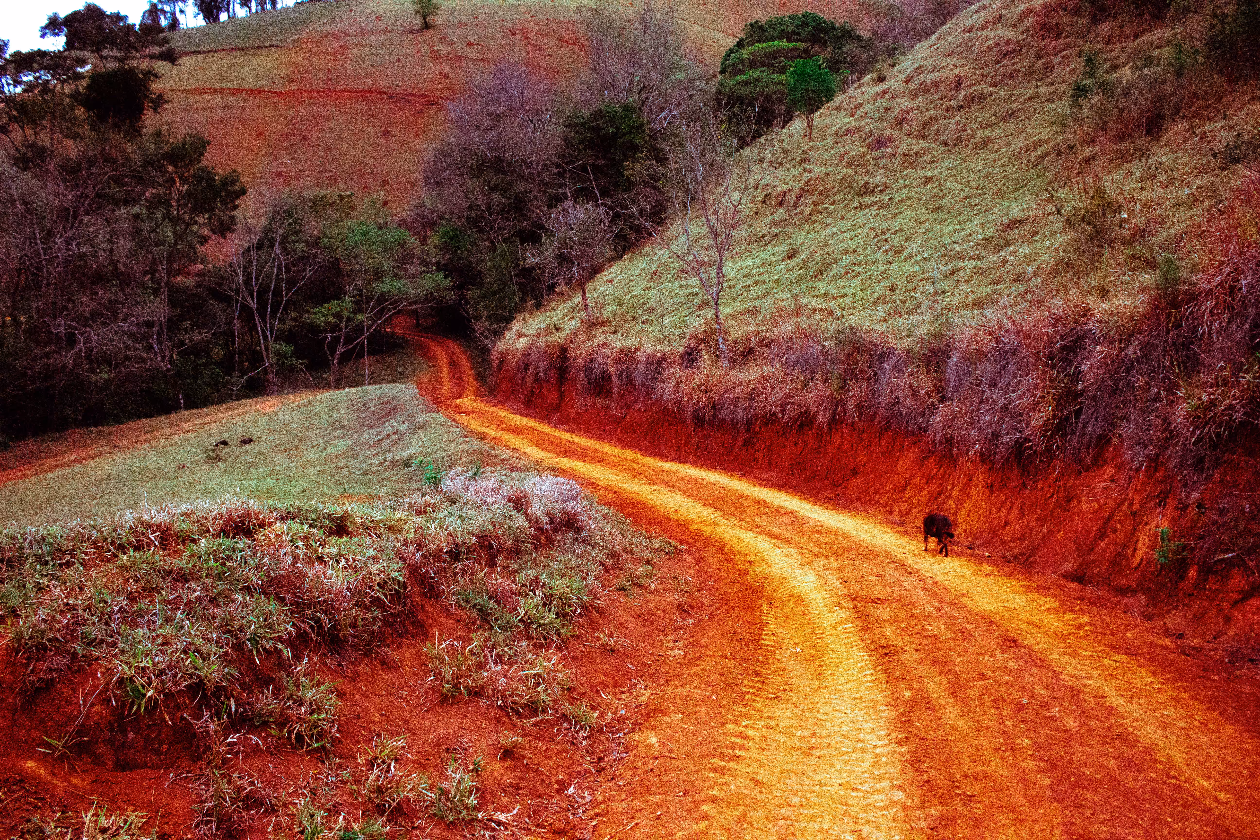 mar vermelho 