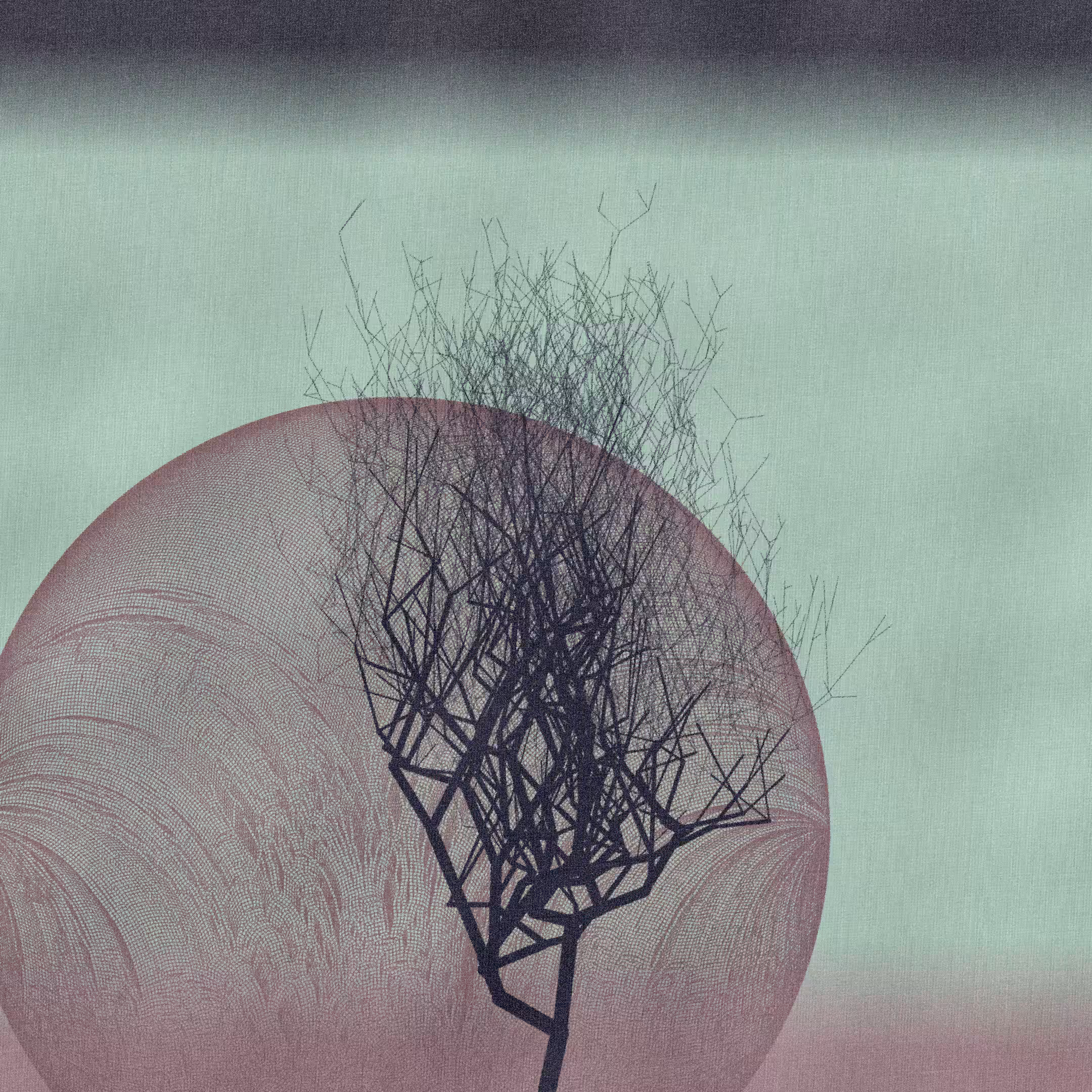 Three dead trees on earth #224