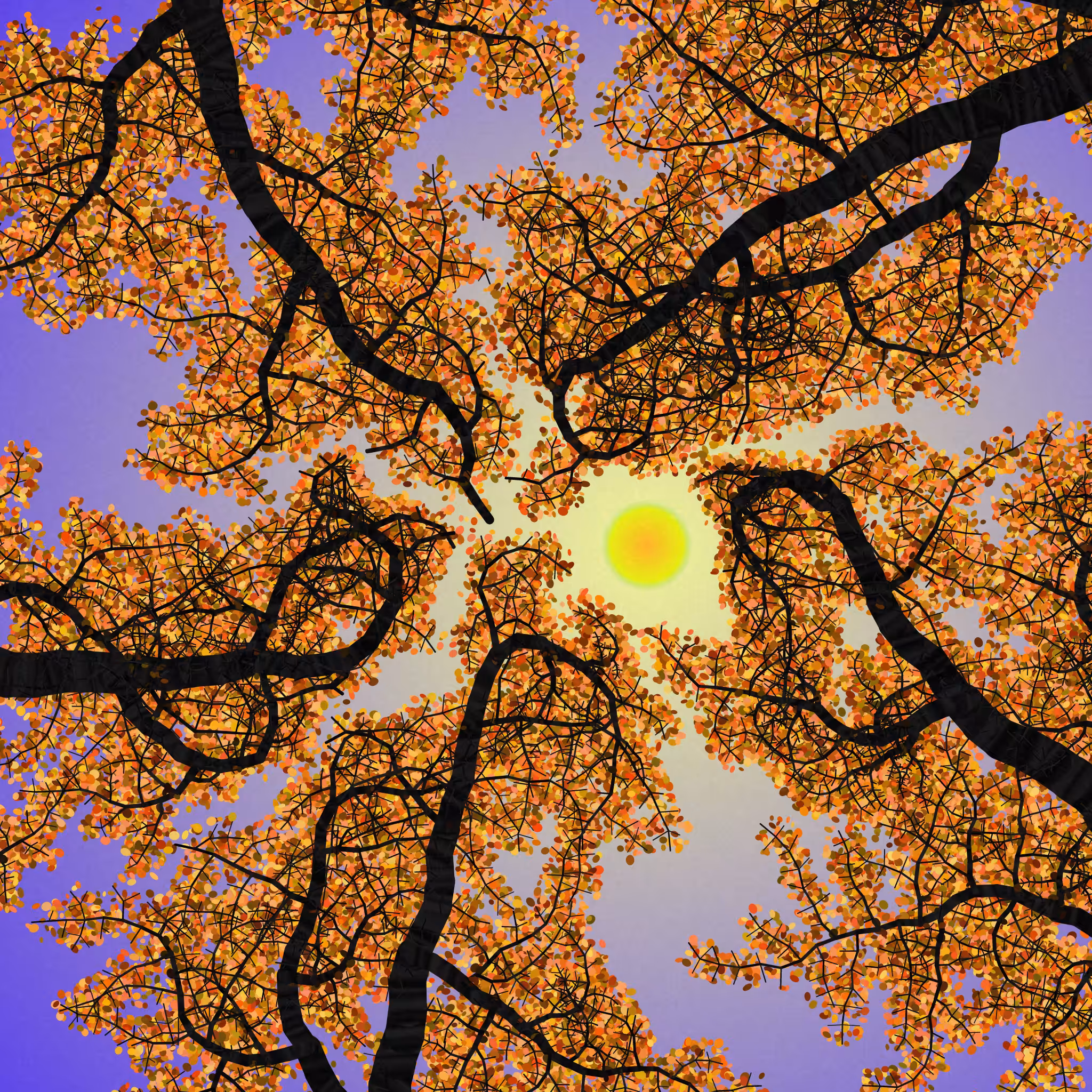 Tree Skyness #130