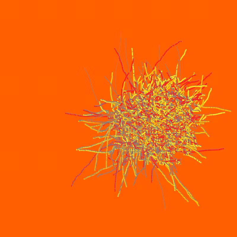 fibinous infection #81
