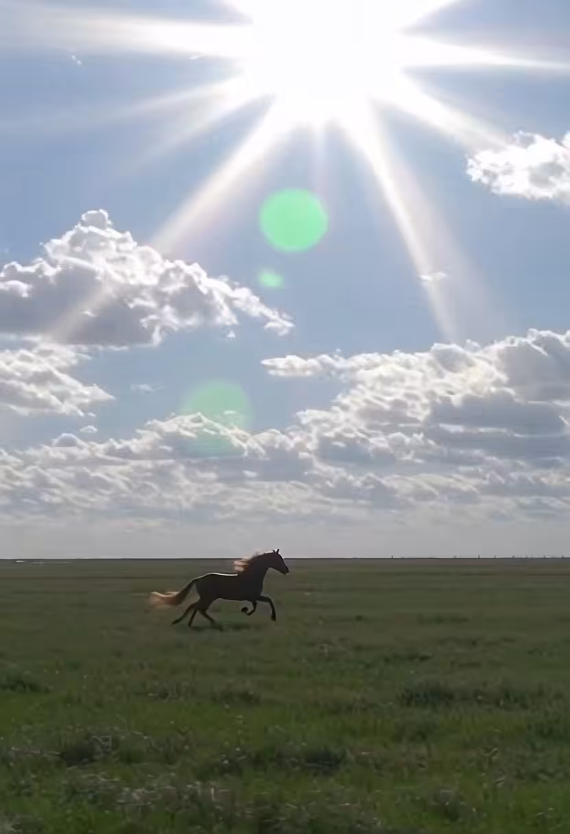 🐎