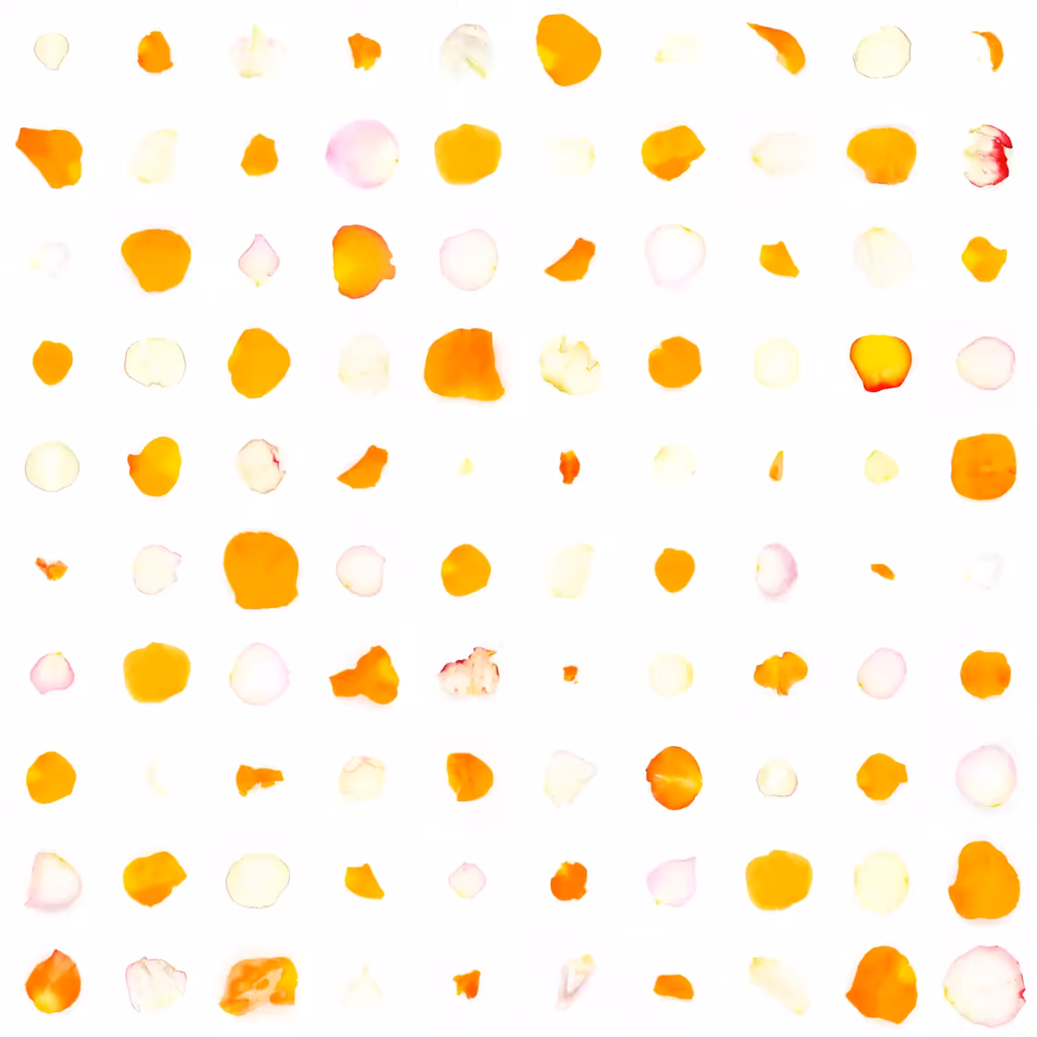 Infinite Petals 10x10#10213