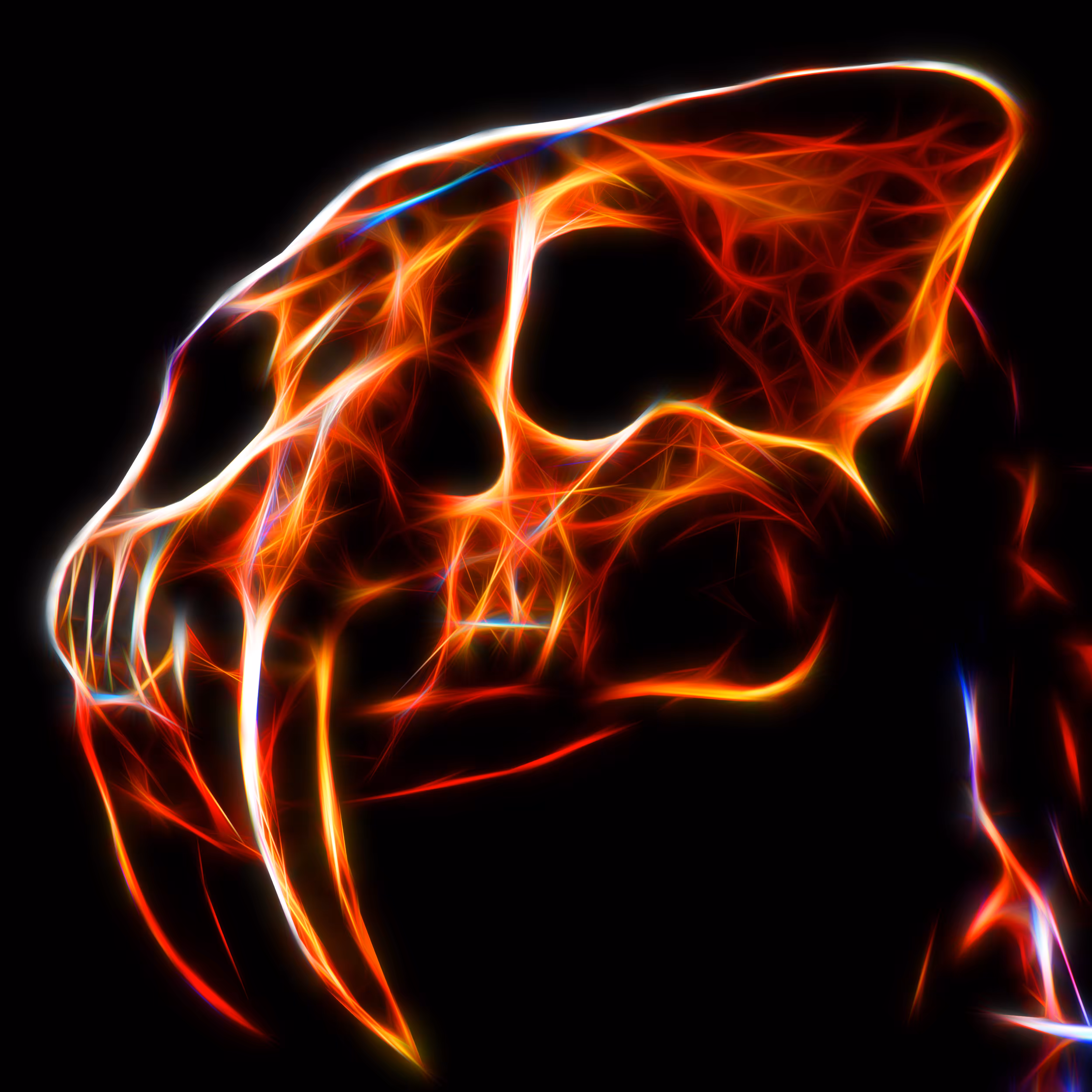 Saber Tooth Tiger