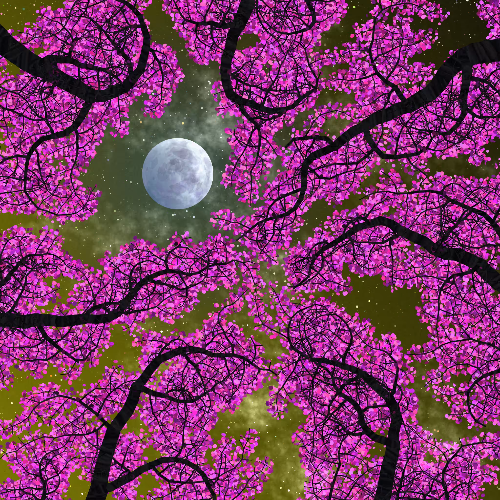 Tree Skyness #38