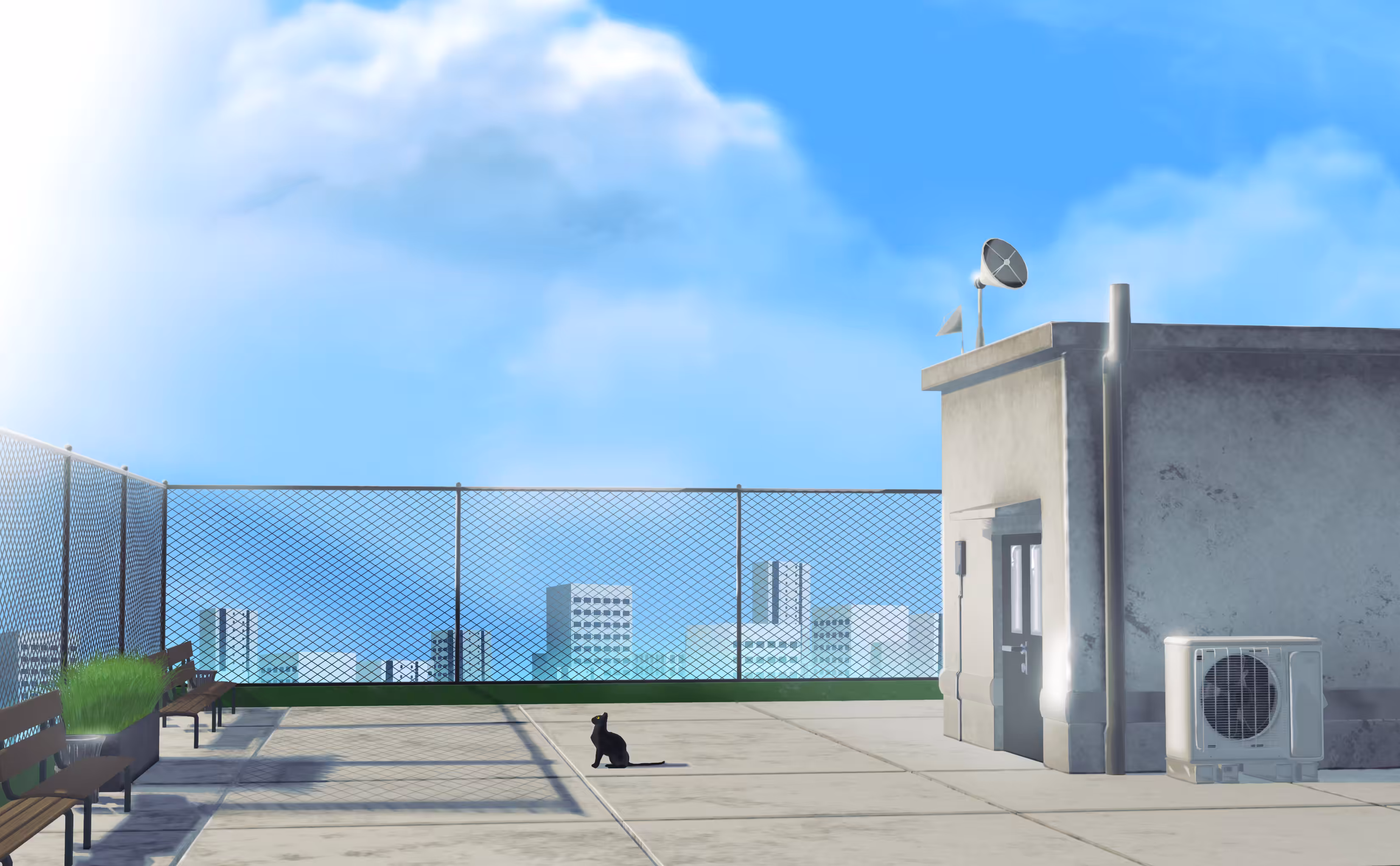 おはよう CatCat