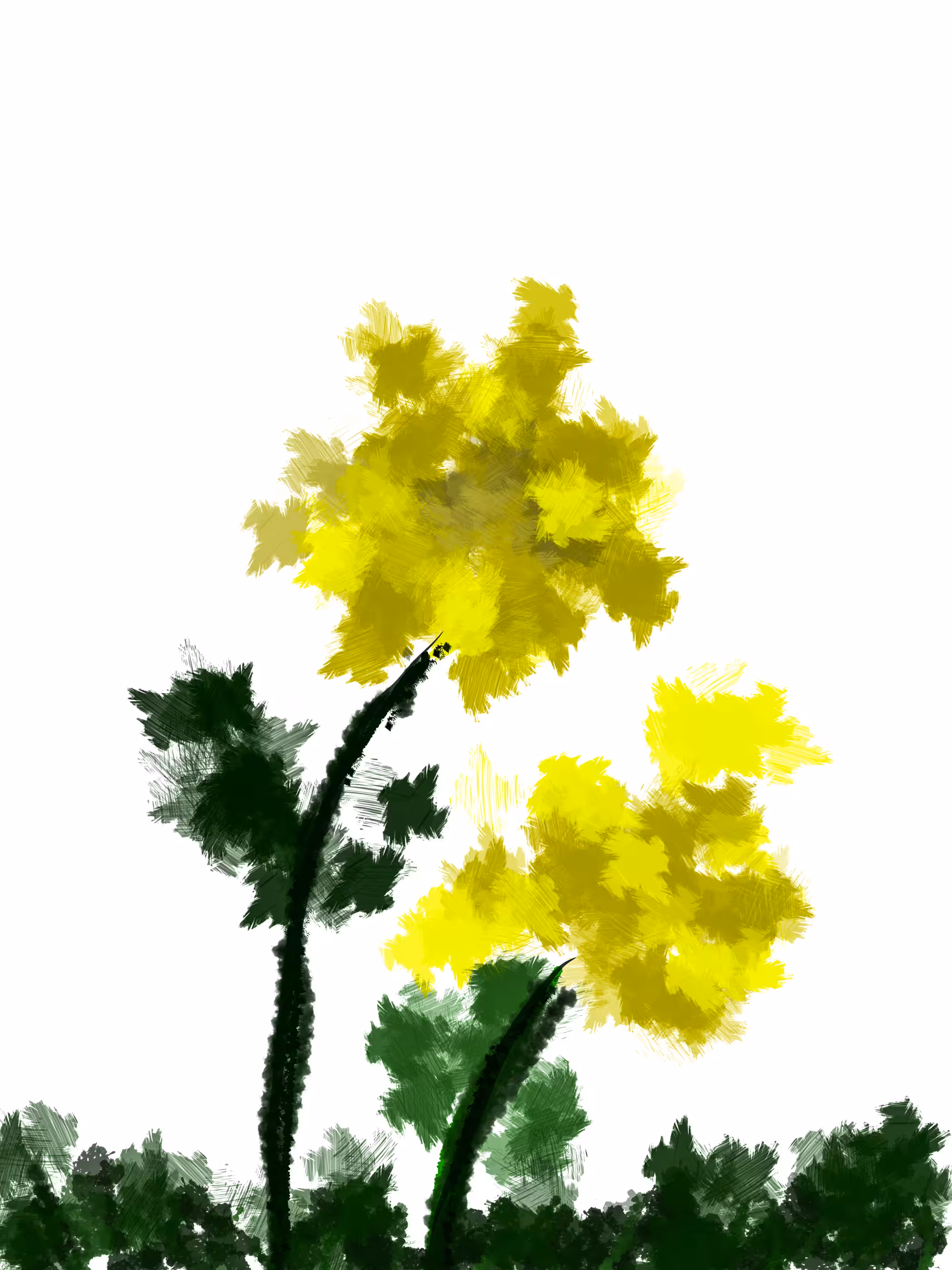 Yellow Flowers