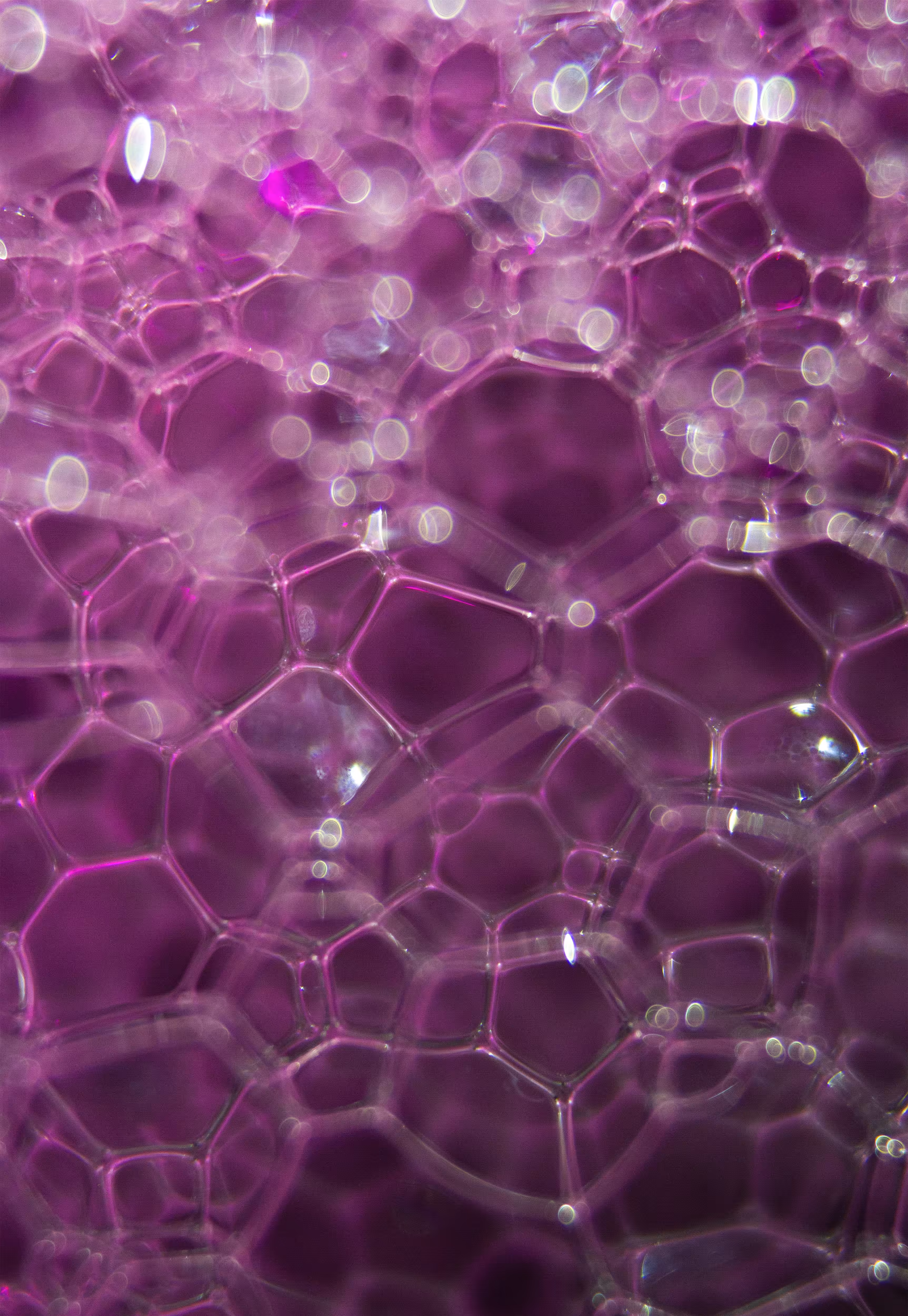 #129 Bubbles