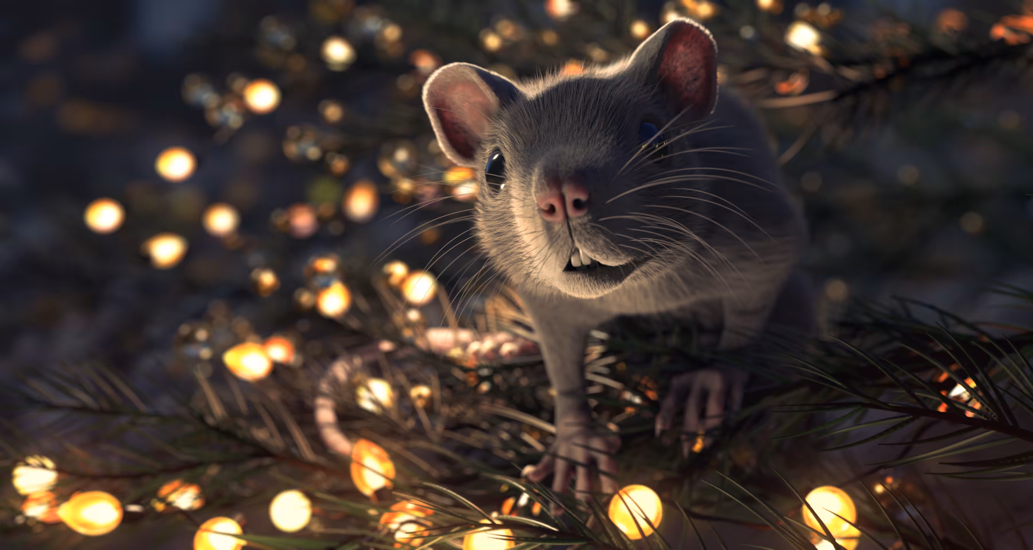 Pine Rat